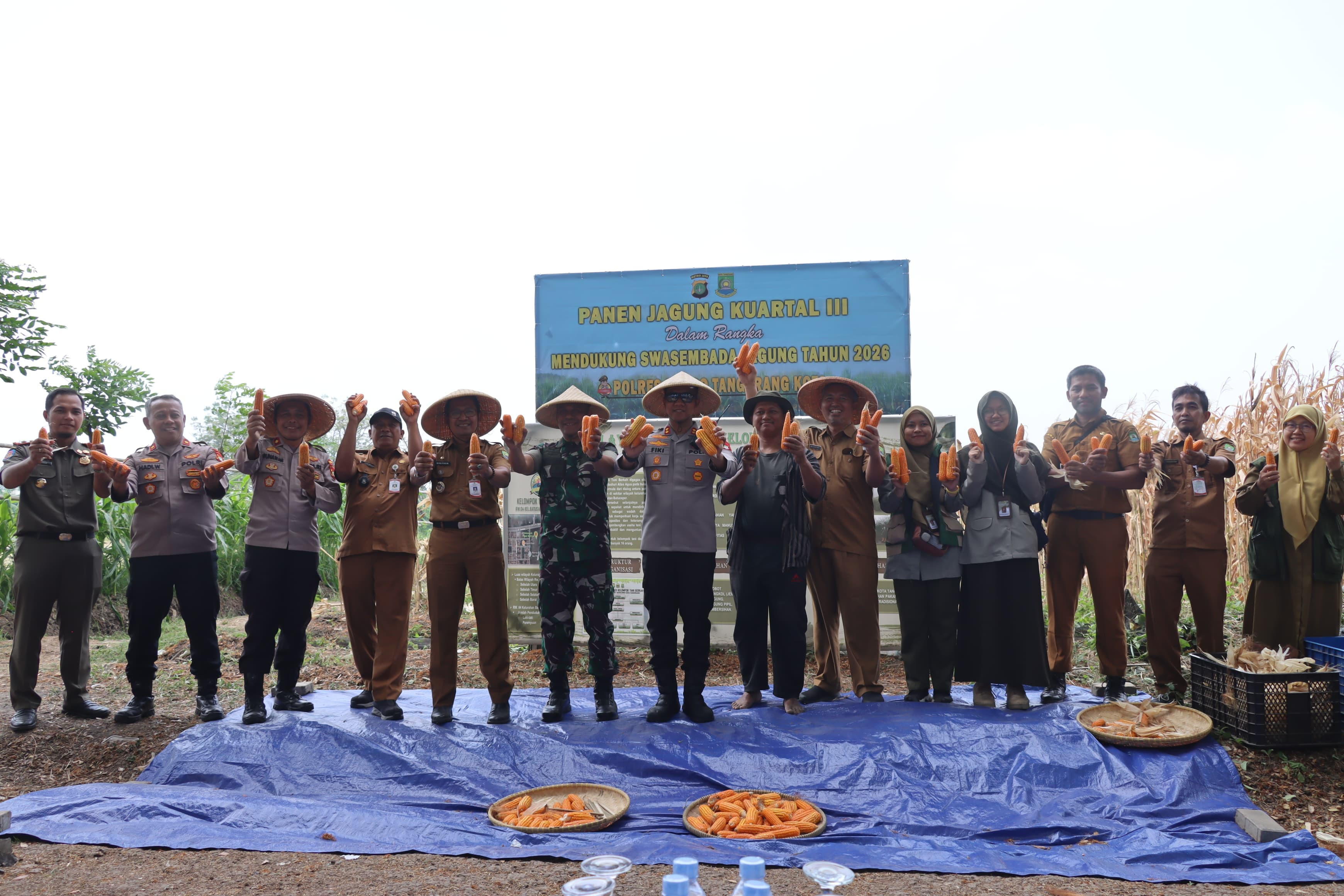 Polres Metro Tangerang Kota Panen Jagung di Batuceper, Dukung Swasembada Pangan