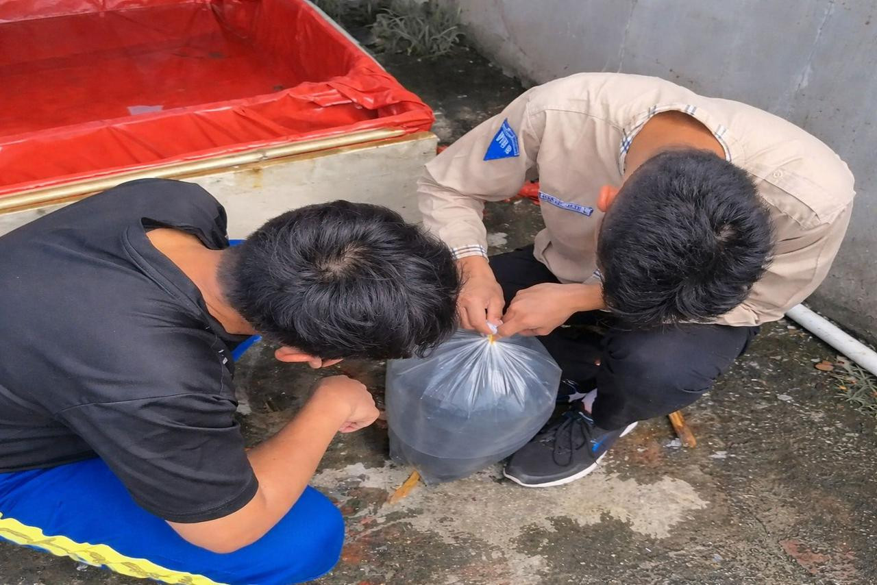 Dari Kelas ke Kolam: Cara Unik SMP Wijaya Kusuma Tanamkan Jiwa Wirausaha