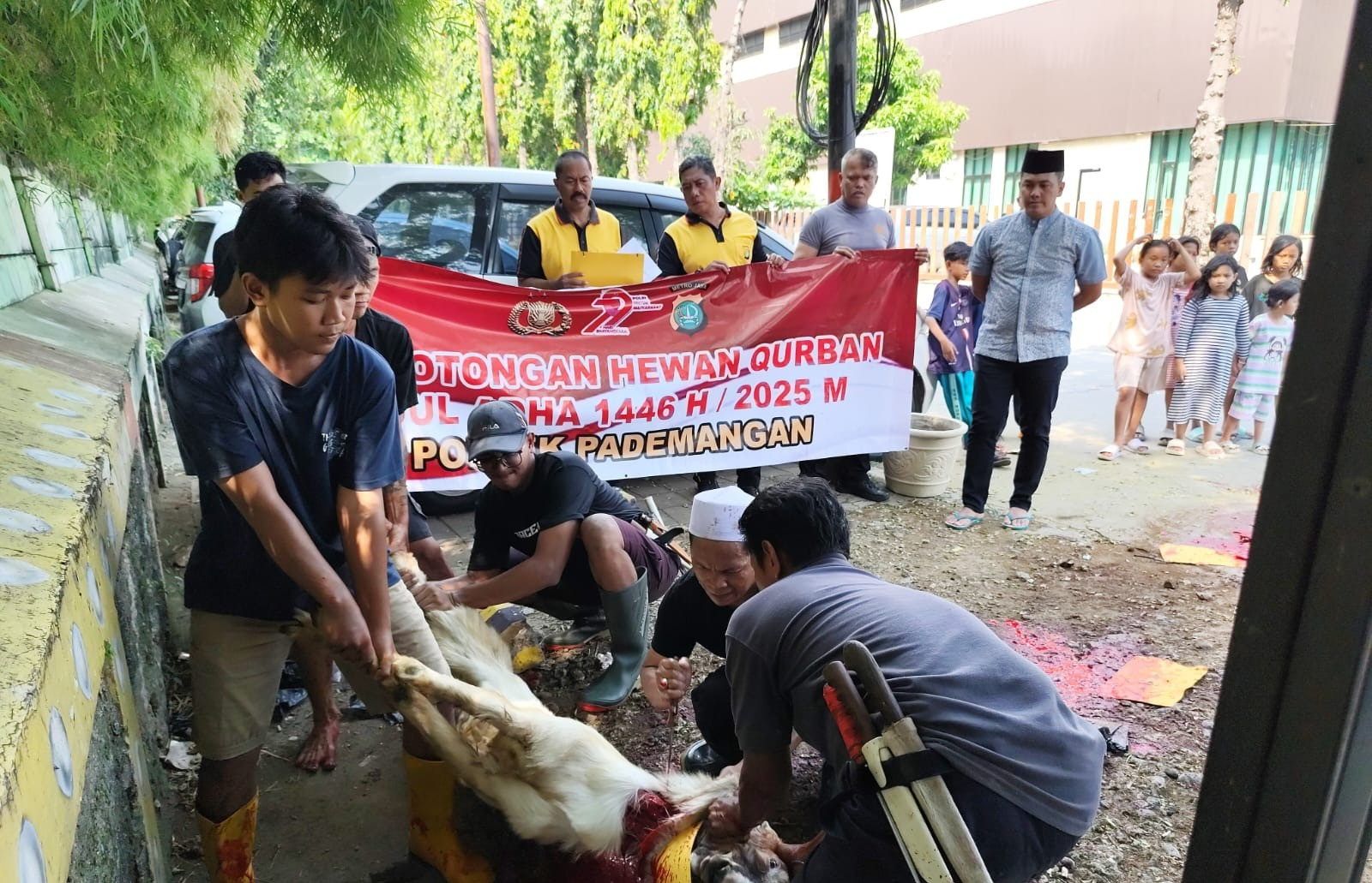 Polsek Pademangan Gelar Pemotongan Hewan Qurban, Perkuat Rasa Kebersamaan di Hari Raya Idul Adha 1446 H