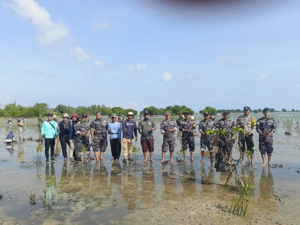 Lanal Bintan Bersama Yayasan Ecology Kepulauan Riau Lakukan Penanaman 50.000 Pohon Mangrove di Berakit