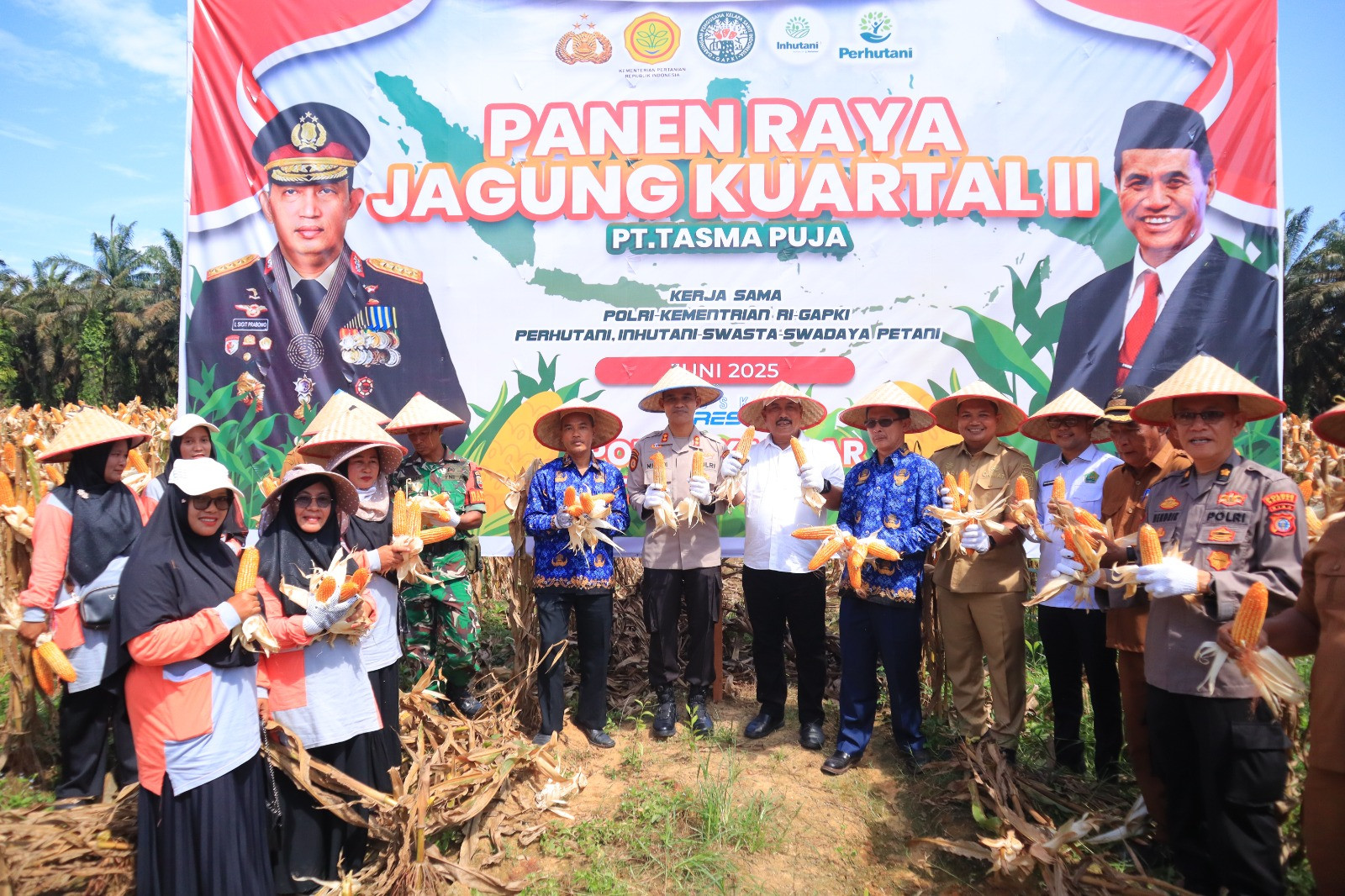 Kapolres Kampar Panen Raya Jagung:  Wujud Dukungan Nyata untuk Ketahanan Pangan Nasional