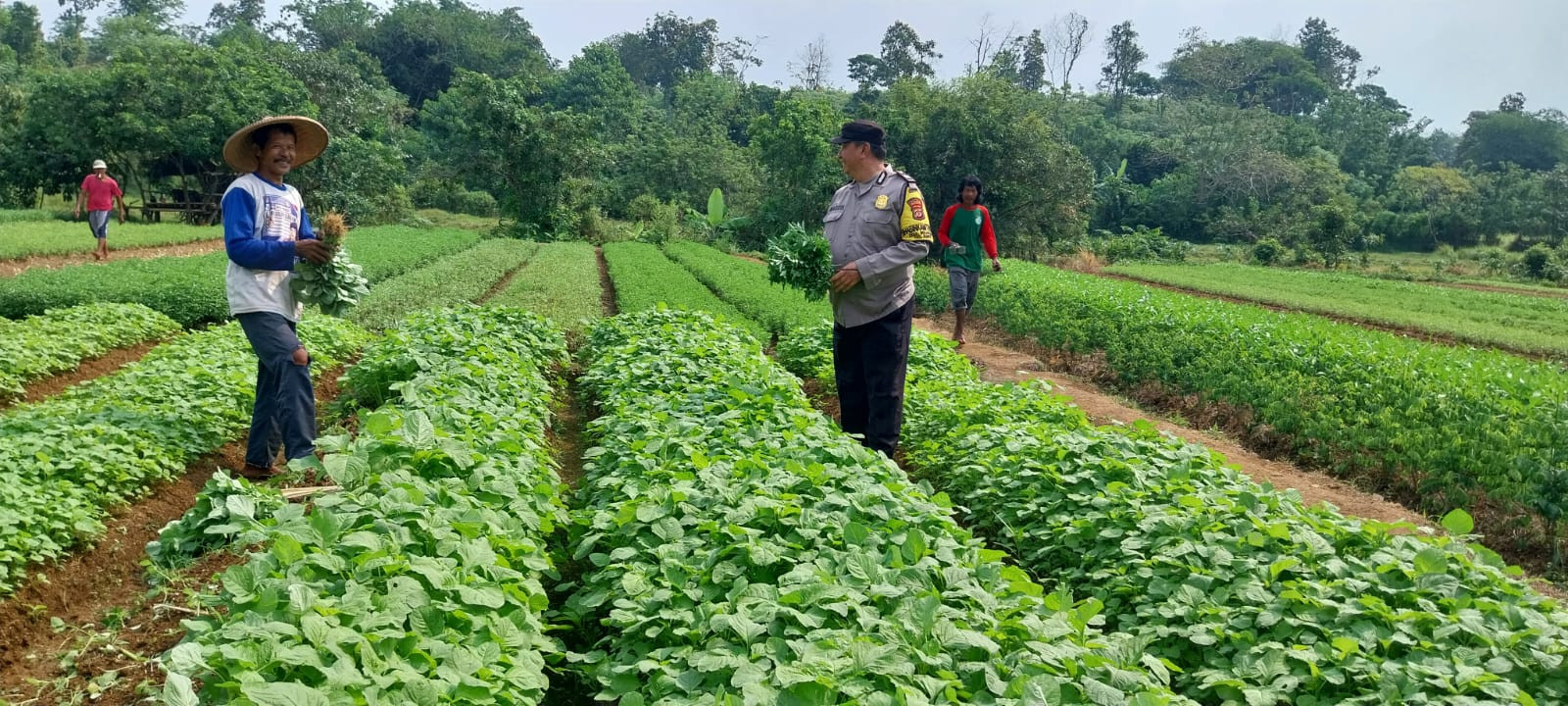Bhabinkamtibmas Mekarsari Ajak Warga Jaga Kamtibmas dan Ketahanan Pangan Menjelang HUT RI ke-80