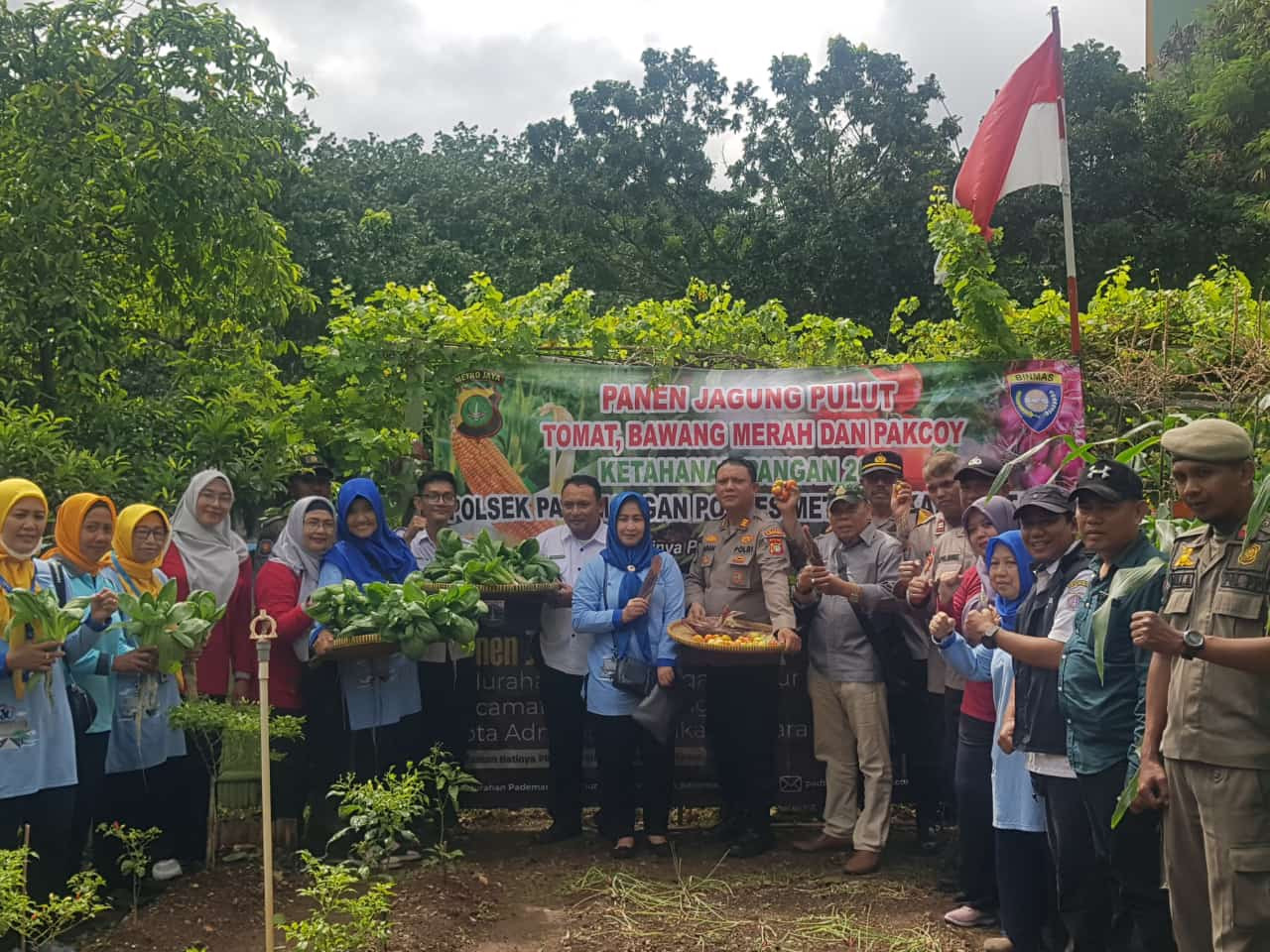 Panen Kebun Ketahanan Pangan, Sinergi Polsek Pademangan dan Warga untuk Masa Depan yang Lebih Sejahtera