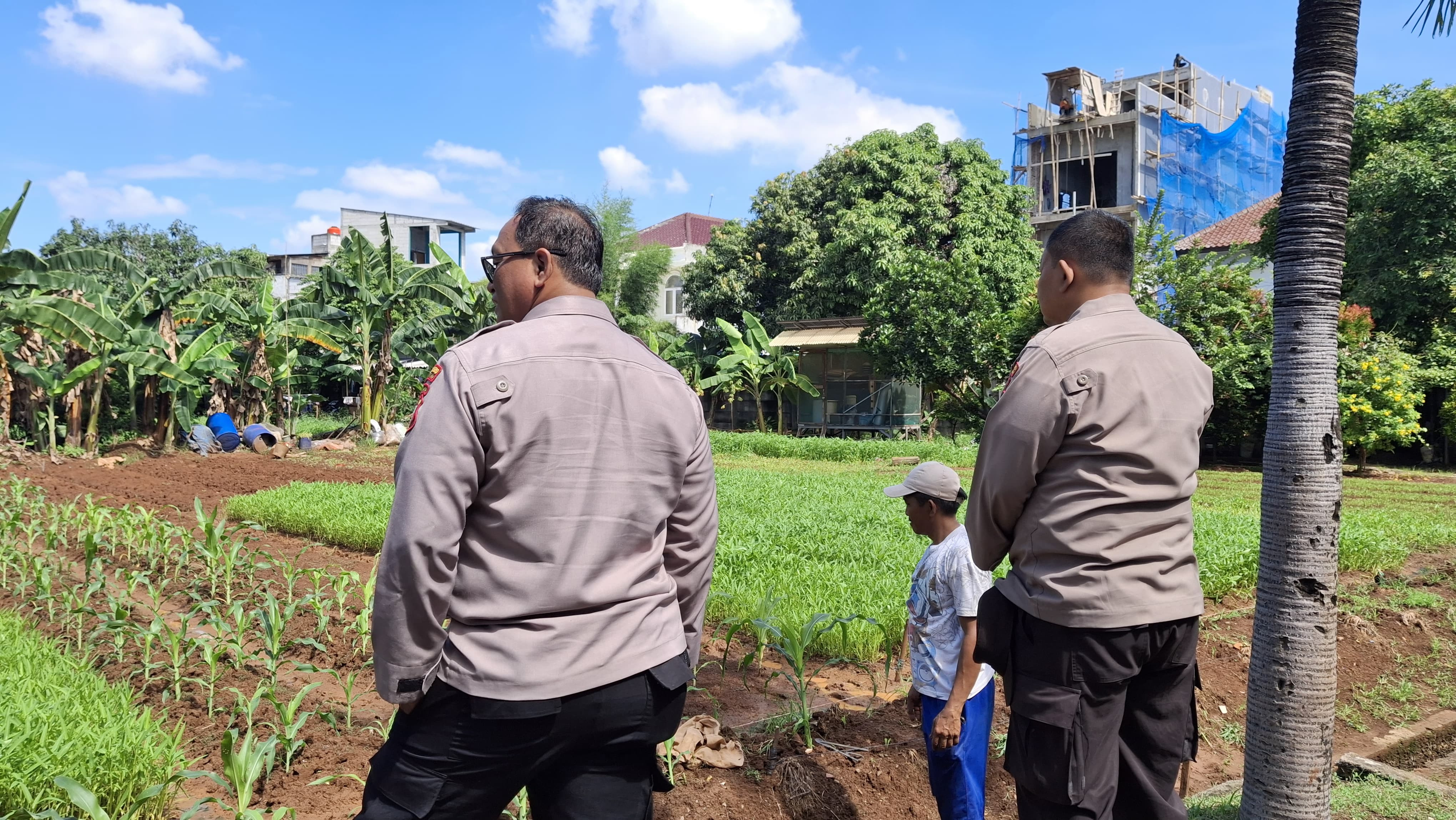 Sat Binmas Polres Metro Jakarta Utara Panen Kangkung Bersama Warga, Wujudkan Ketahanan Pangan Mandiri