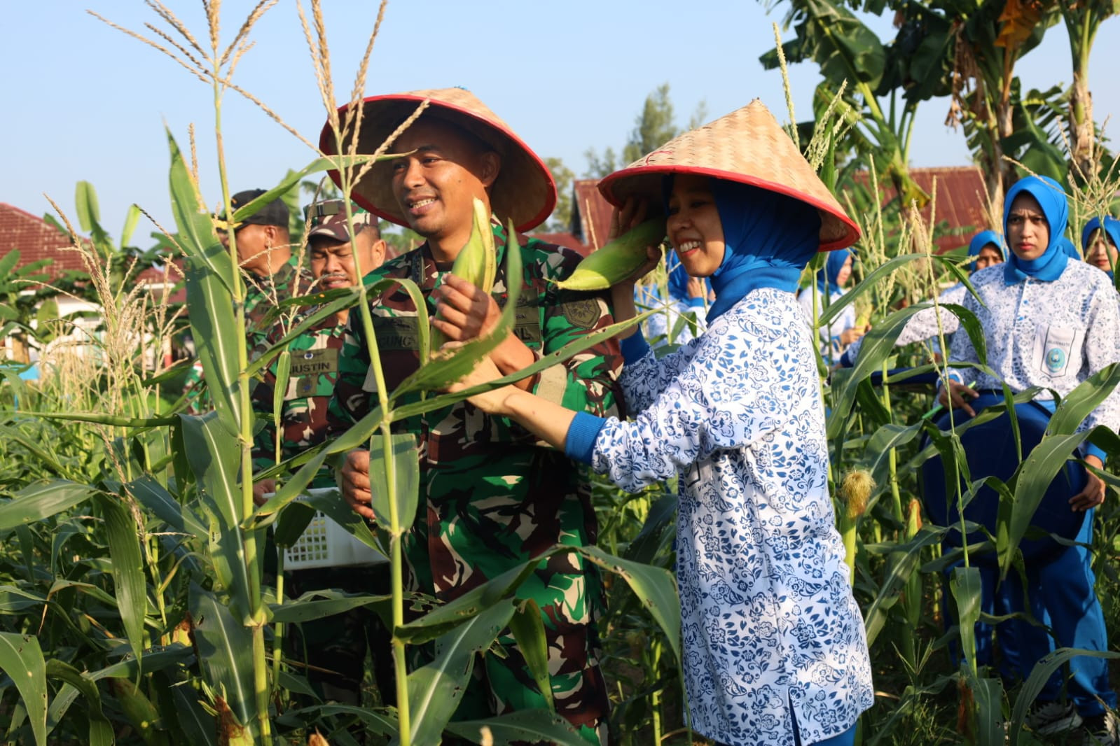 Panen Raya Serentak, Danlanal Dumai Perkuat Ketahanan Pangan Nasional Melalui Hasil Panen Jagung dan Ketela Pohon
