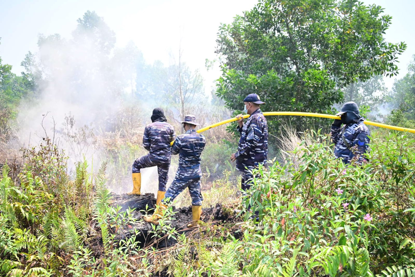 Aksi Cepat Lanal Banjarmasin Padamkan Kebakaran Hutan Gambut di Kabupaten Banjar