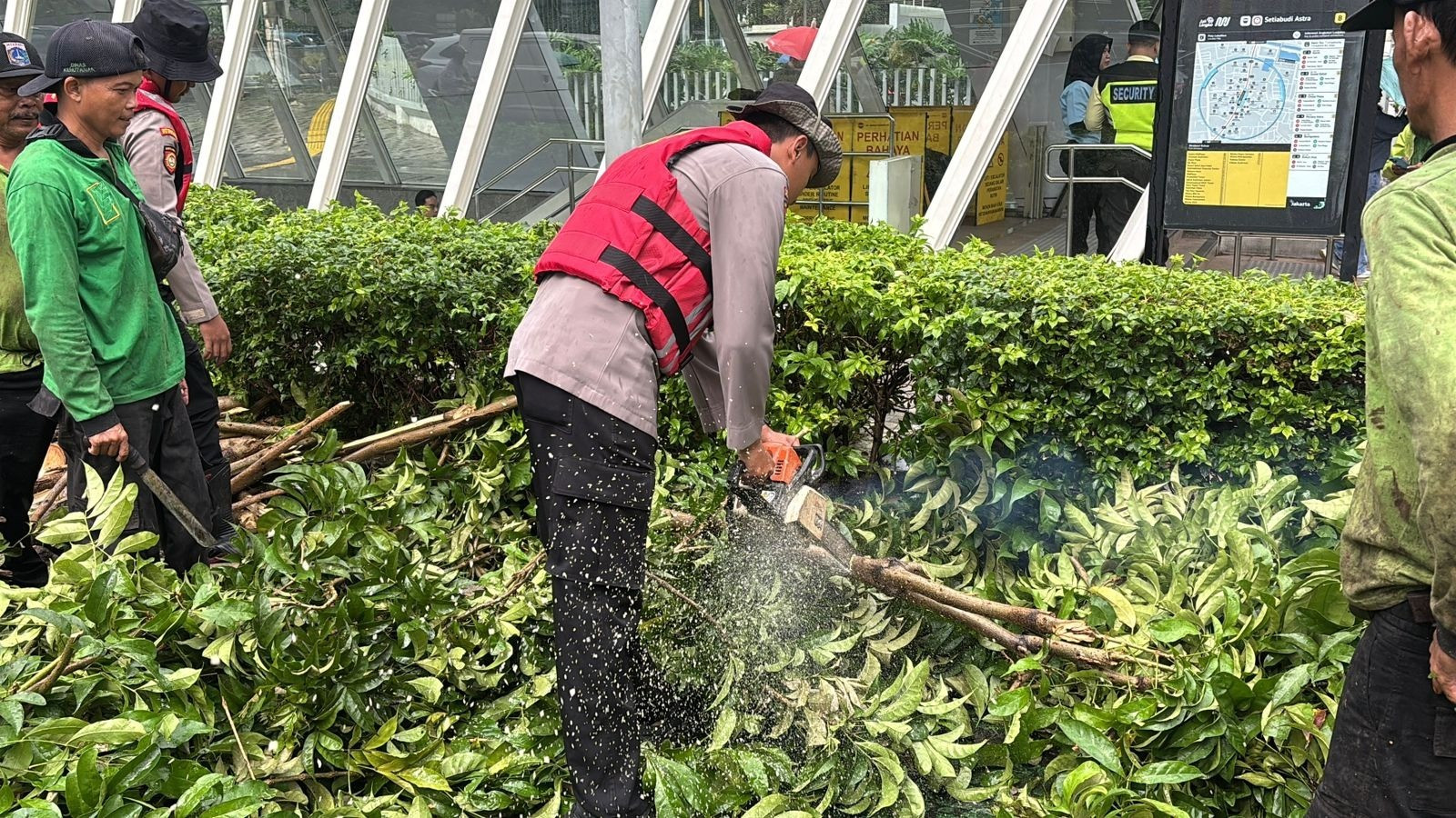 Gerak Cepat Ditsamapta Tangani Pohon Tumbang di Halte MRT Setiabudi Astra