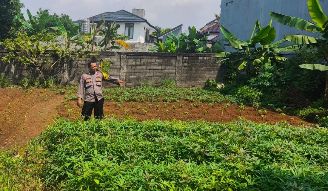 Bhabinkamtibmas Jatimelati Monitoring Program Ketahanan Pangan di Lahan Warga
