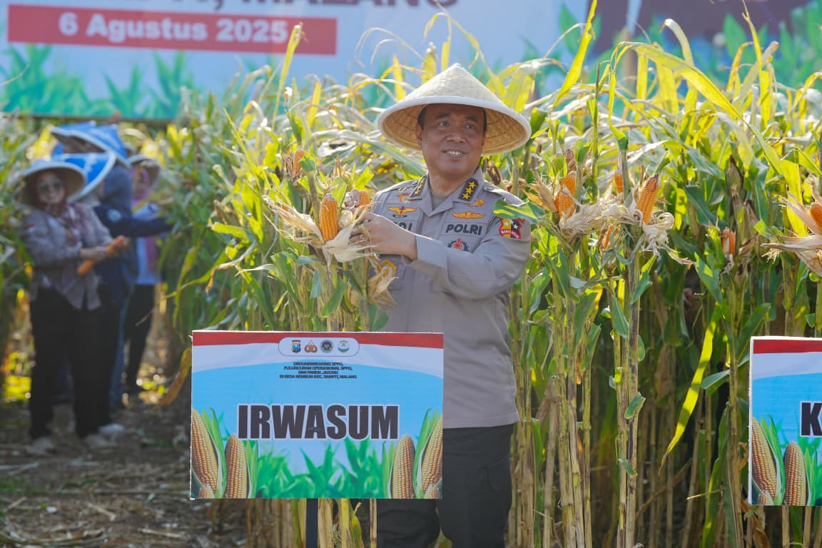 Panen Raya Jagung di Malang, Wujud Nyata Komitmen Polri dalam Ketahanan Pangan Nasional