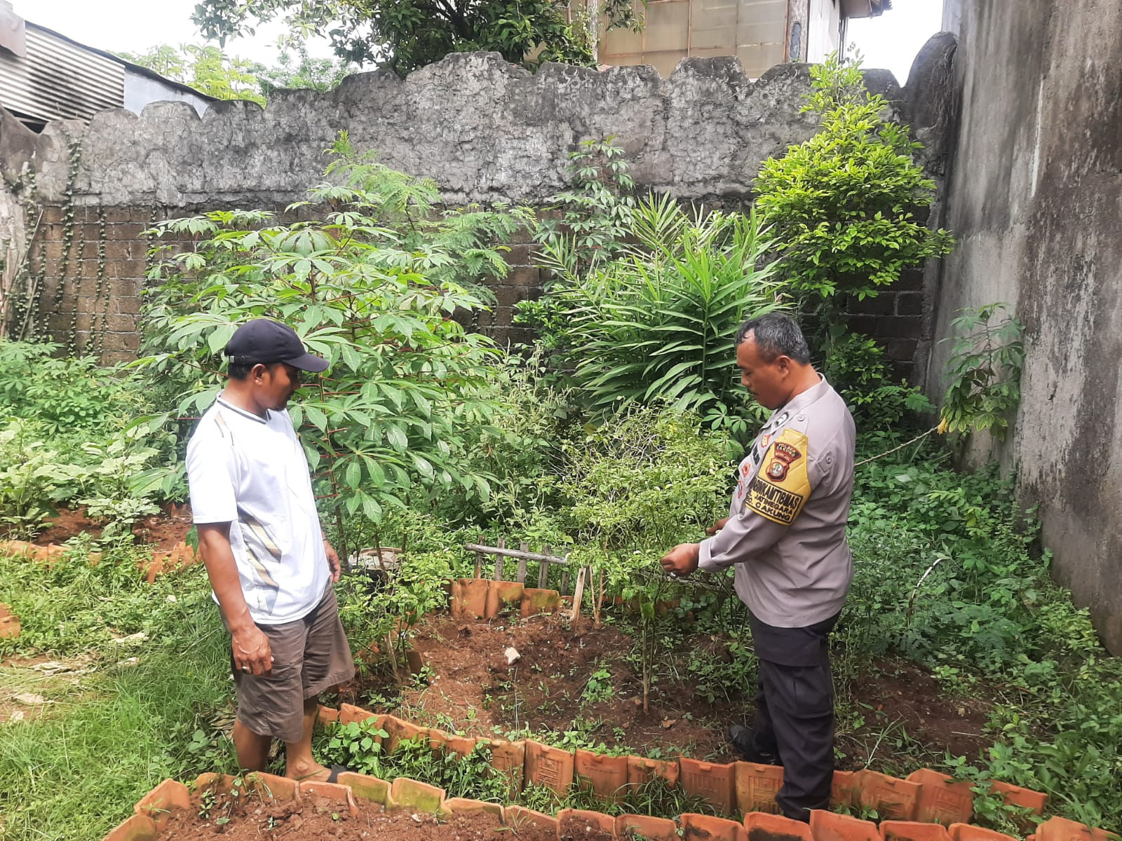 Pembinaan lahan pekarangan ketahanan pangan, Bhabinkamtibmas serahkan bibit tanaman ke Poktan