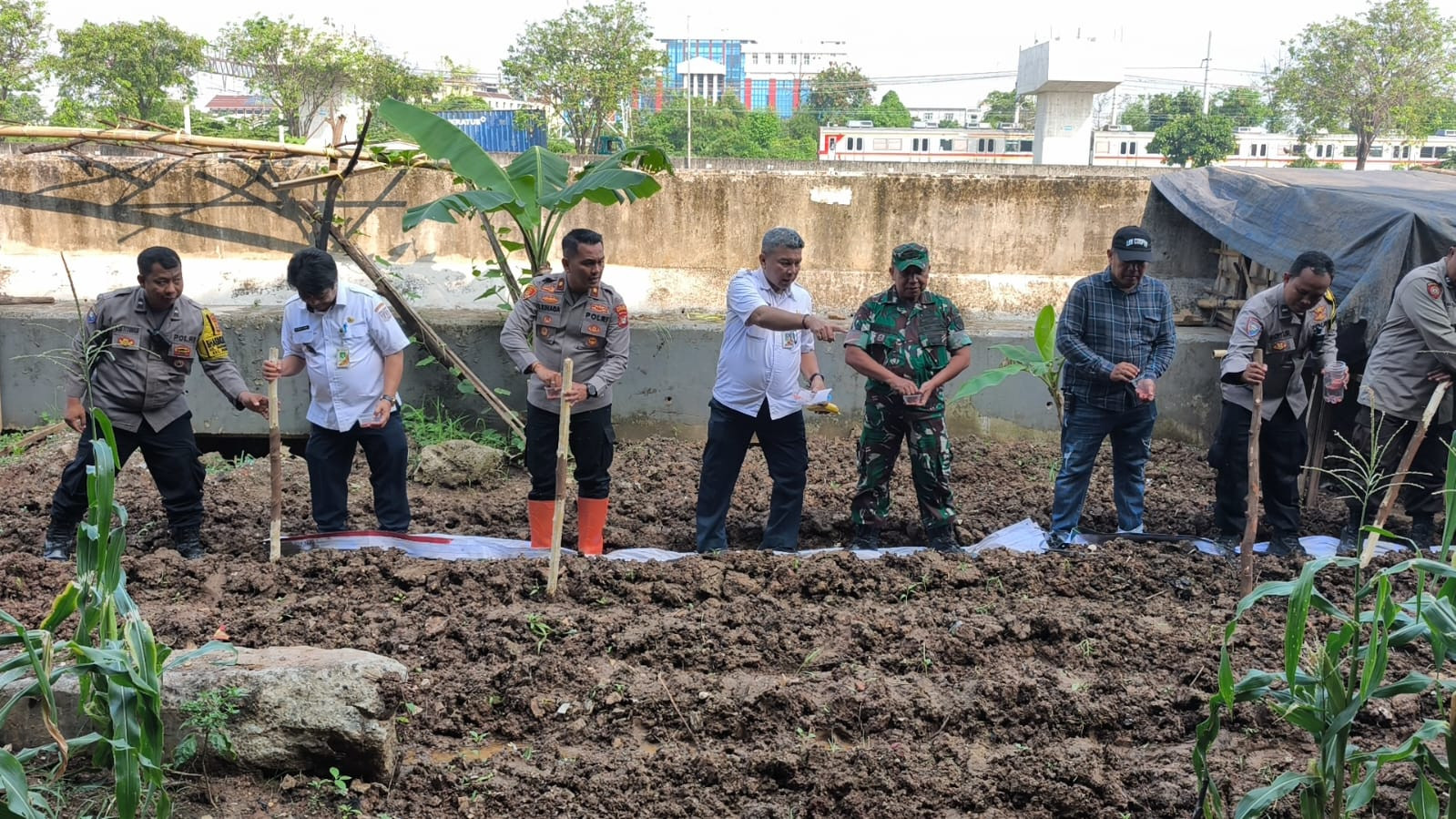 Polsek Pademangan Bersama Tiga Pilar Tanam Jagung Serentak Dukung Ketahanan Pangan Nasional