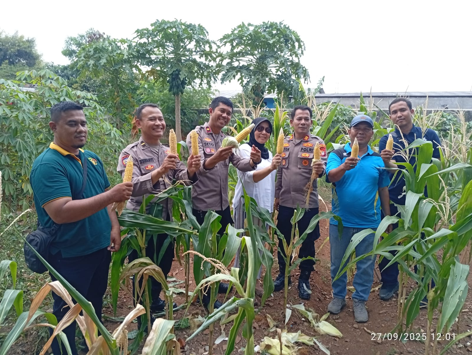 Panen Raya Jagung Serentak Kuartal III, Polsek Kelapa Gading Ikut Sukseskan Gerakan Pangan Nasional