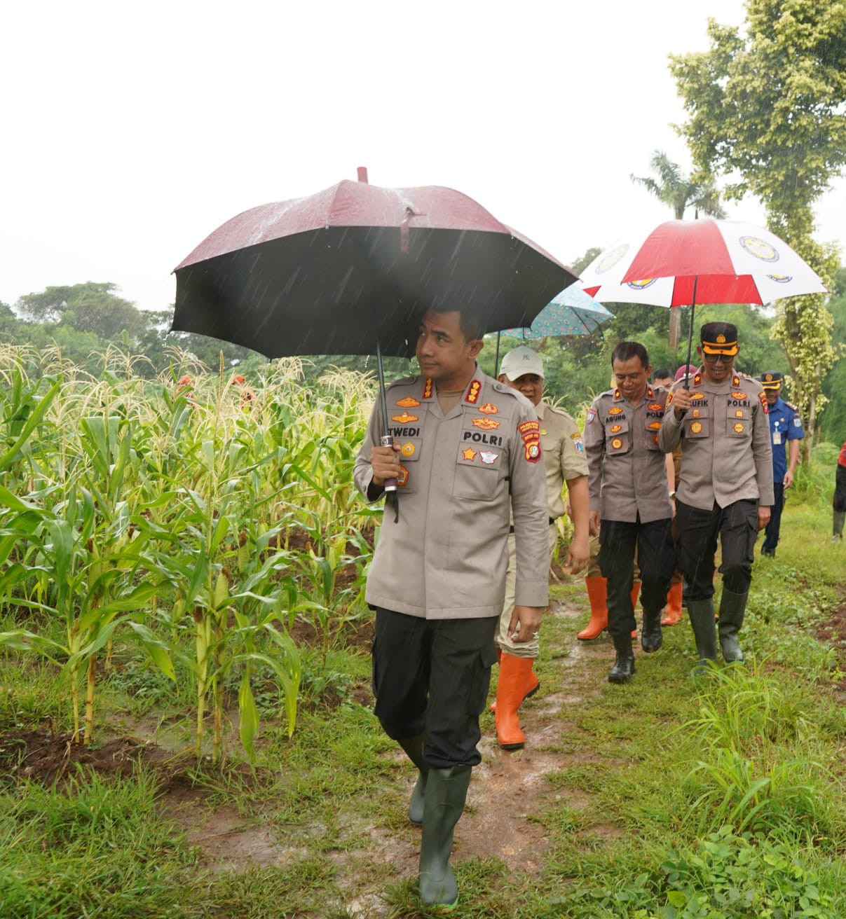 Guyuran Hujan Tak Surutkan Semangat Kolaborasi:Kapolres Metro Jakbar dan Forkopimko Tinjau Lahan Ketahanan Pangan