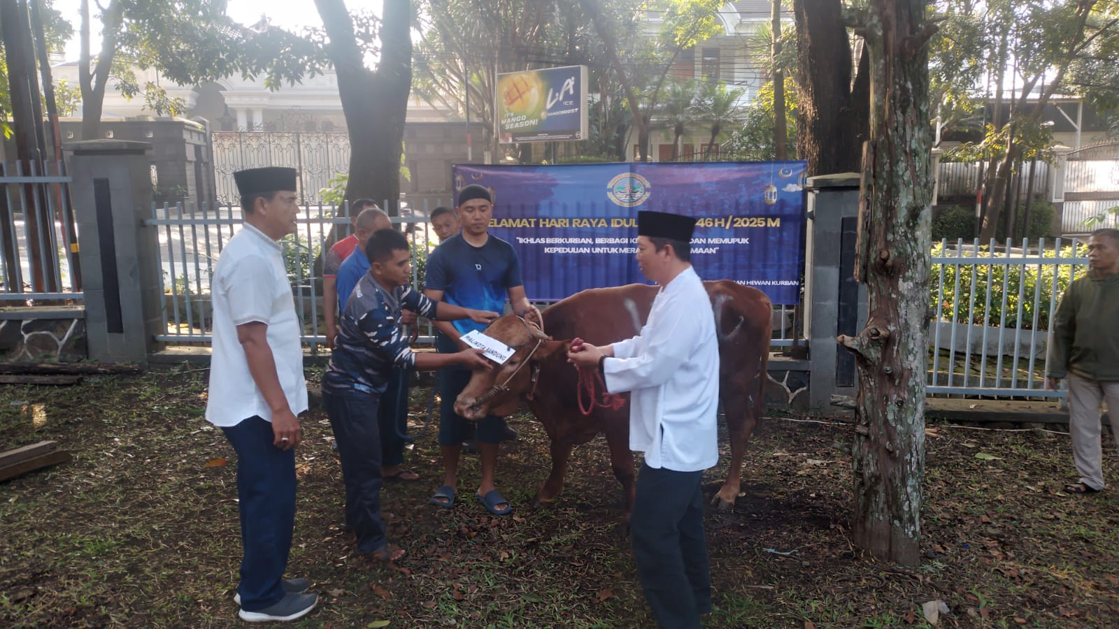 Pangkalan TNI AL Bandung Laksanakan Penyembelihan dan  Penyaluran Daging Hewan Kurban Kepada Personel Lanal Bandung