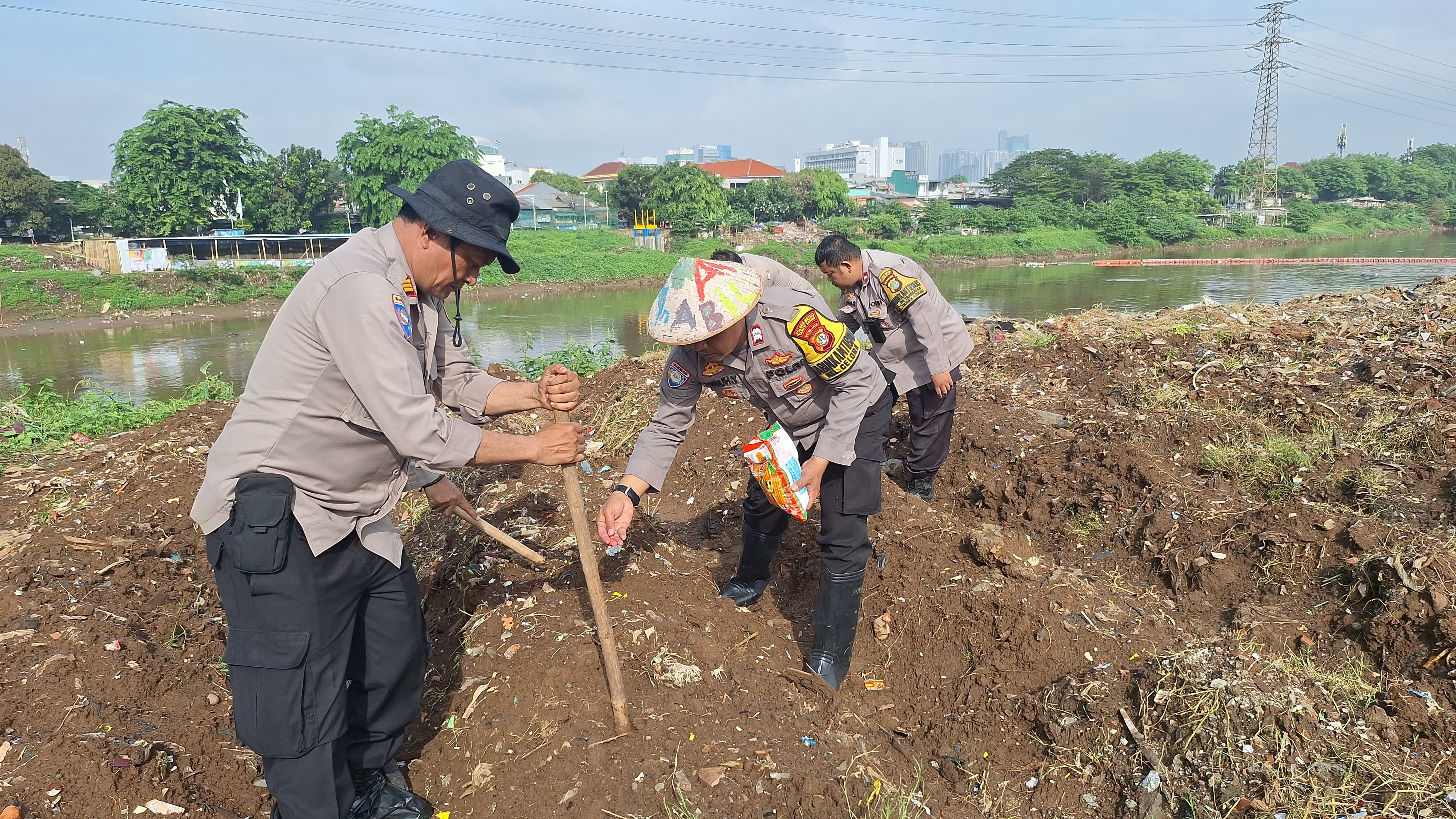 Jaga Ketahanan Pangan Polsek Metro Tanah Abang Lakukan Penanaman Jagung Di Bantaran Kali Ciliwung