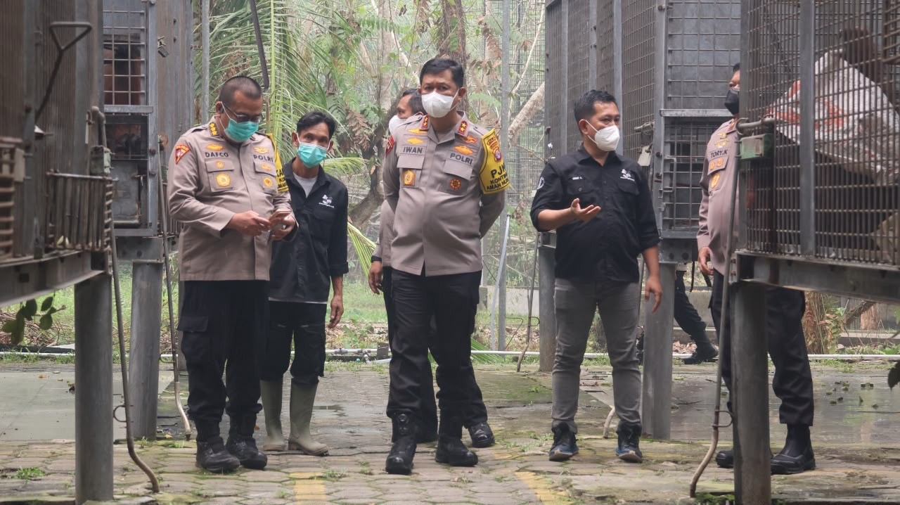 Polri: Perkuat Patroli Hutan Terpadu, Rescue Satwa Terdampak dan Pengamanan agar Orang Utan Terlindungi