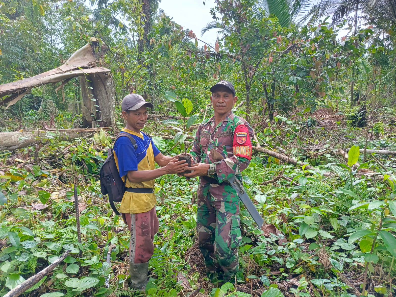 Satgas TMMD 125 Kodim 1506/Namlea Melaksanakan Tanam Bibit Pohon Keras Dengan Target 10.000 Pohon