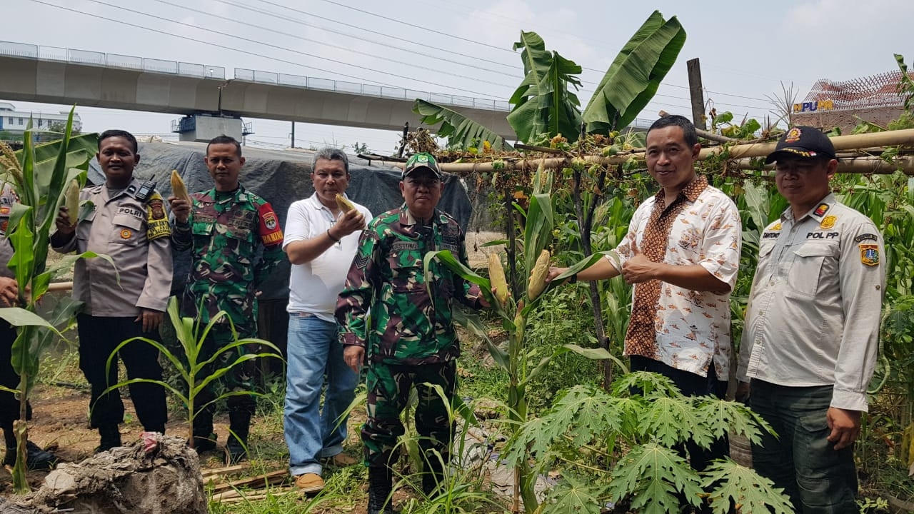 Polri Panen Raya Jagung Serentak Digelar di Pademangan, Dorong Swasembada Pangan 2025