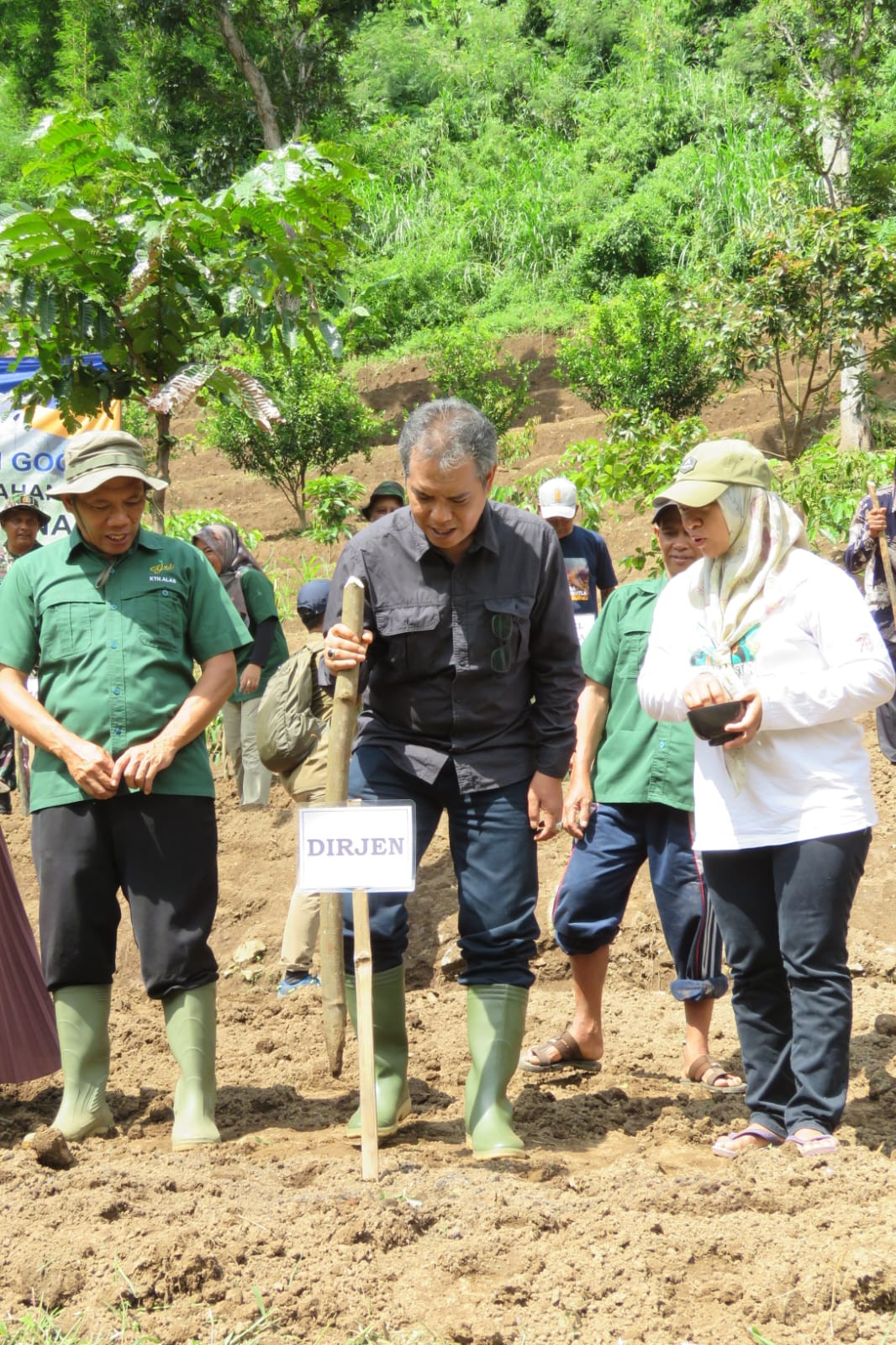 Perkuat Ketahanan Pangan, Kementan Lakukan Tanam Padi Gogo di Mojokerto