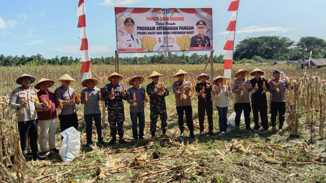 POLDA MALUKU UTARA PANEN RAYA JAGUNG DUKUNG PROGRAM ASTA CITA UNTUK KETAHANAN PANGAN NASIONAL GUNAKAN DANA DESA