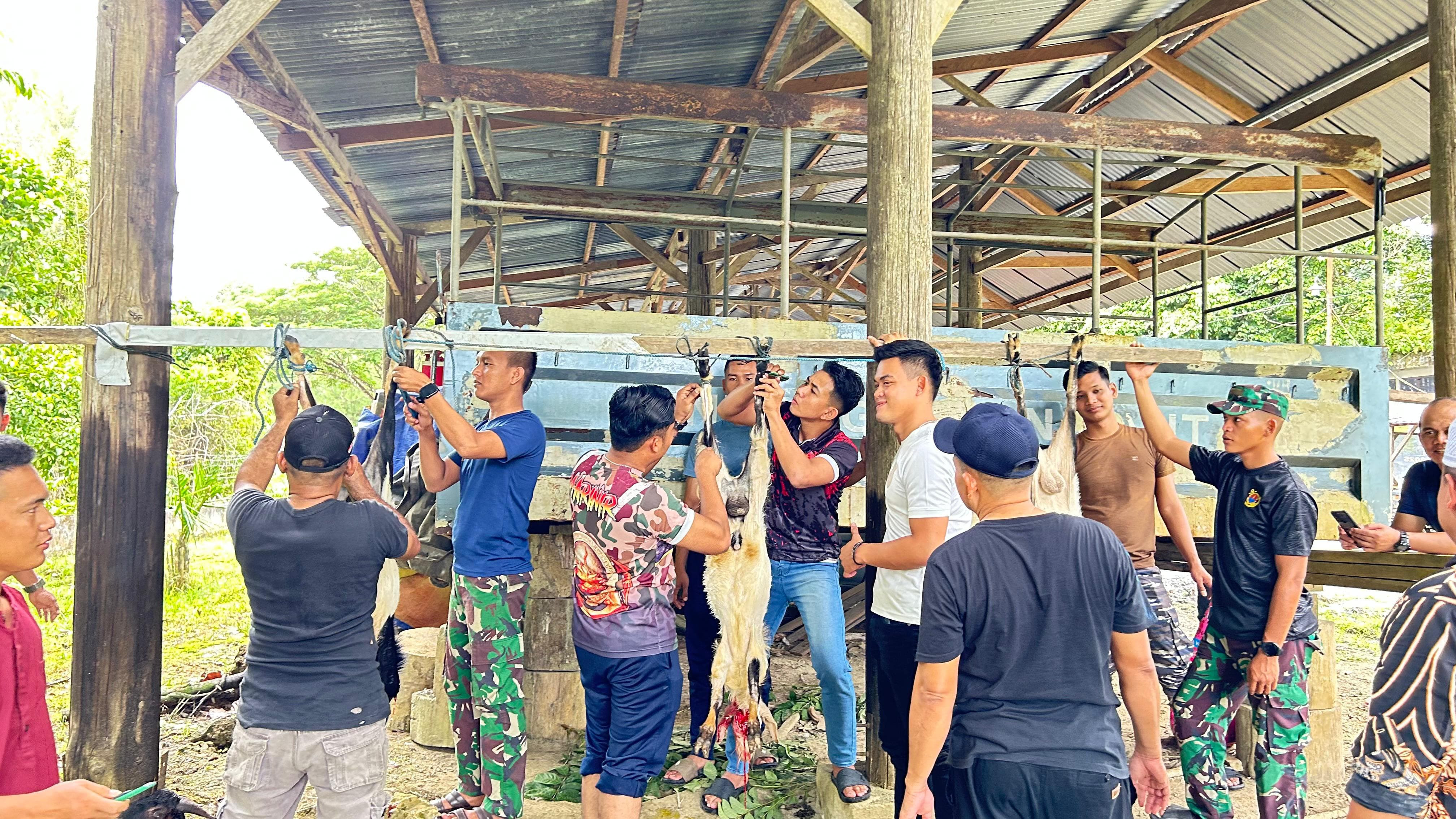 Lanal Simeulue Laksanakan Pemotongan Hewan Qurban Dalam Rangka Hari Raya Idul Adha 1446 H/2025