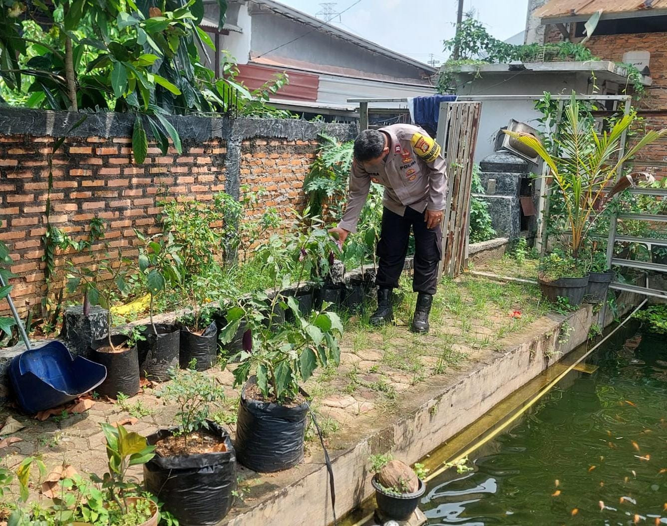 Sambang dan Monitoring Ketahanan Pangan oleh Bhabinkamtibmas Kelurahan Jatirahayu