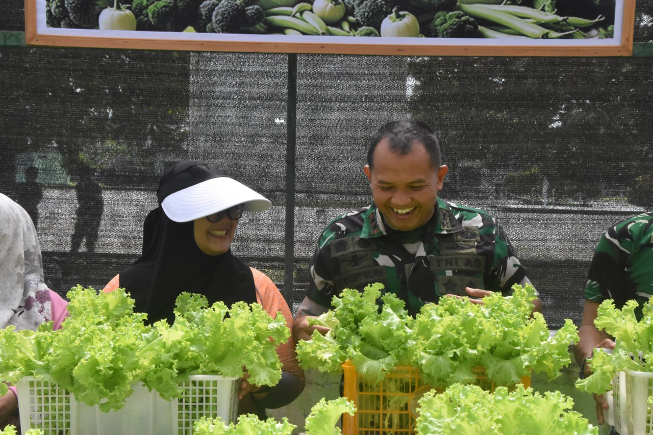 Dandim 1710/Mimika Bersama Ketua Persit KCK Cab. XXXV Melaksanakan Panen Slada Di Kebun Hidroponik Mimosa Persit KCK Cab. XXXV Kodim 1710/Mimika