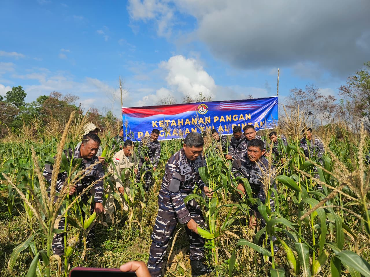 Panen Jagung Lanal Bintan Dalam Mendukung Ketahanan Pangan