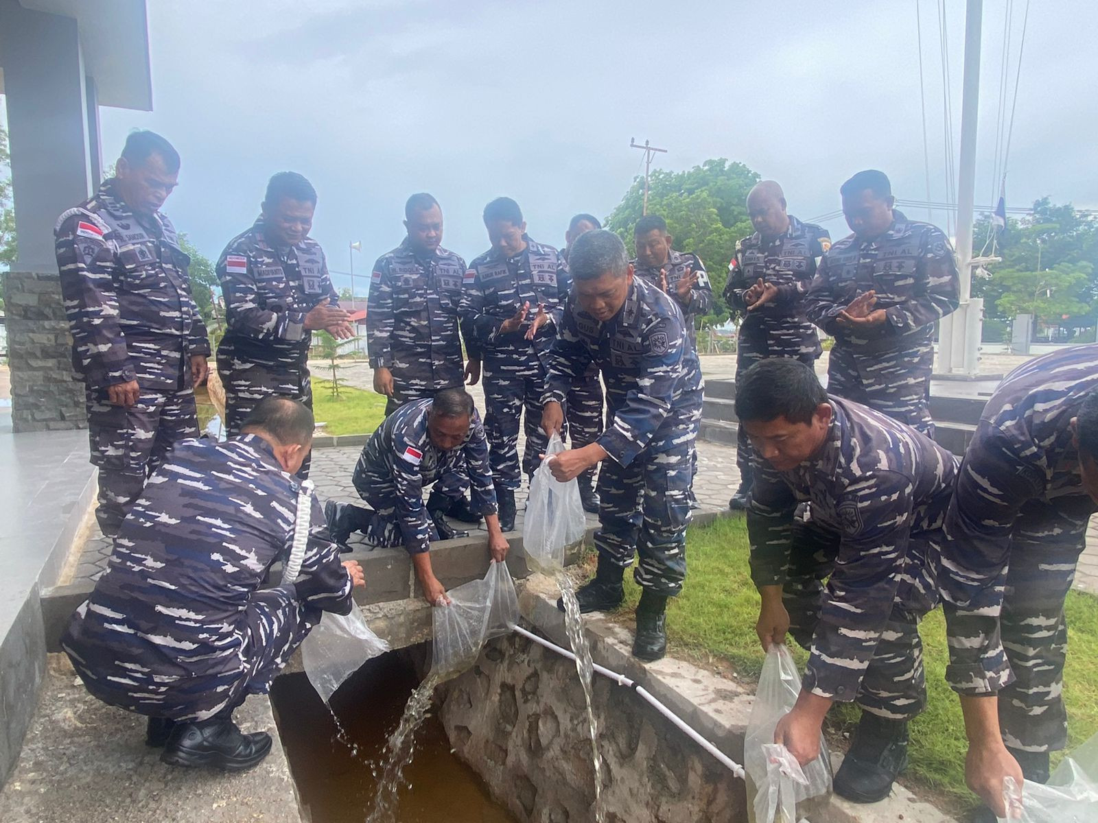 Danlanal Bintan Tabur Bibit Ikan Nila Untuk Mengurangi Pertumbuhan Jentik Nyamuk di Lingkungan Sekitar