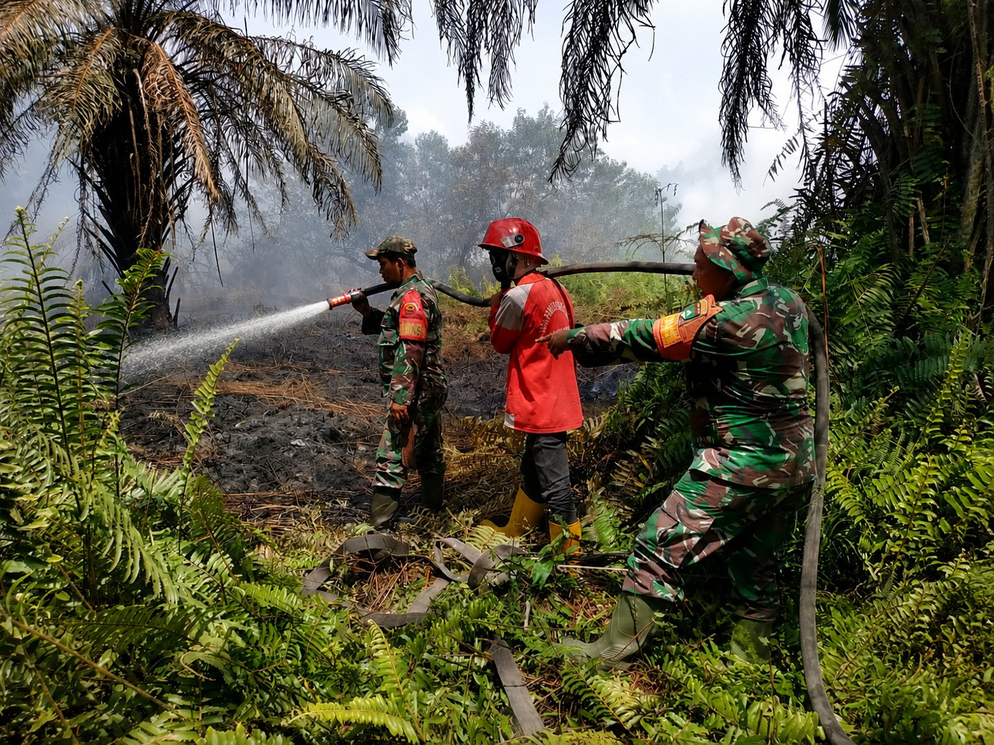 TNI Siagakan 66.510 Personel Tangani Karhutla di Seluruh Indonesia