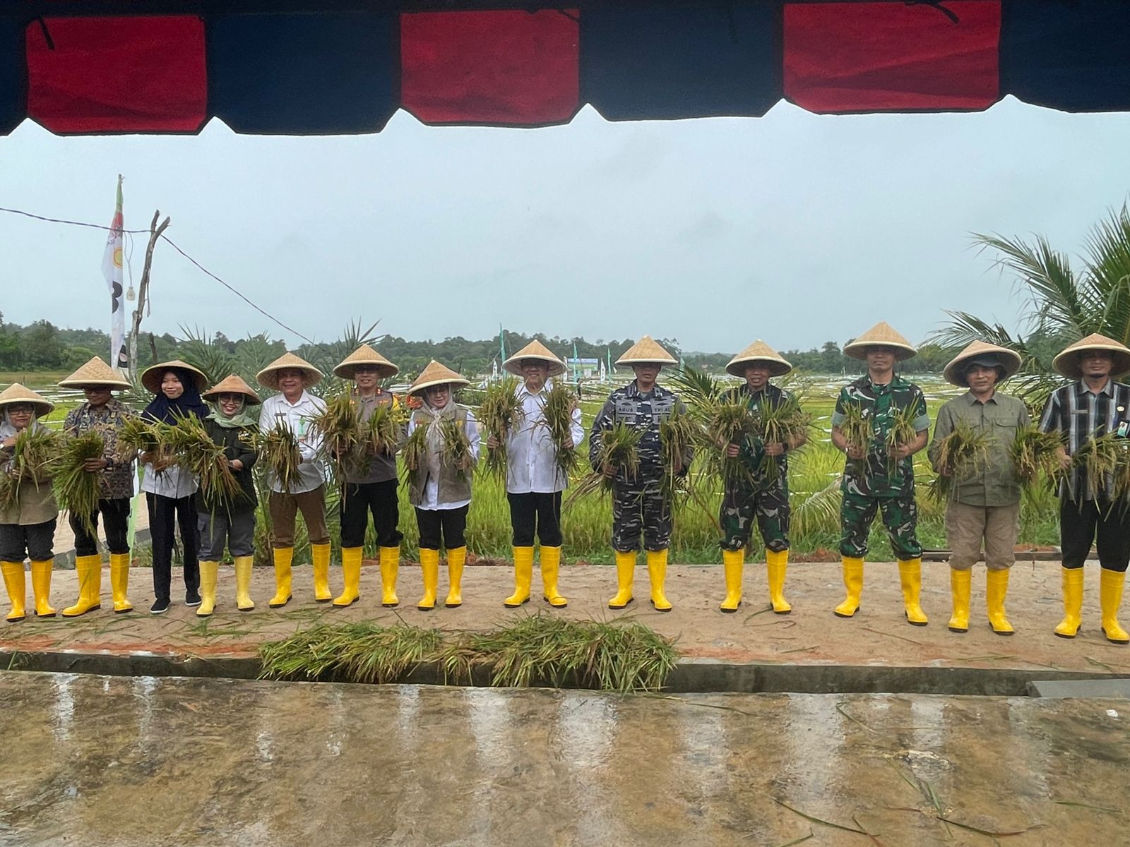 Danlanal Bintan Turut Panen Raya Bersama Pembenihan Padi