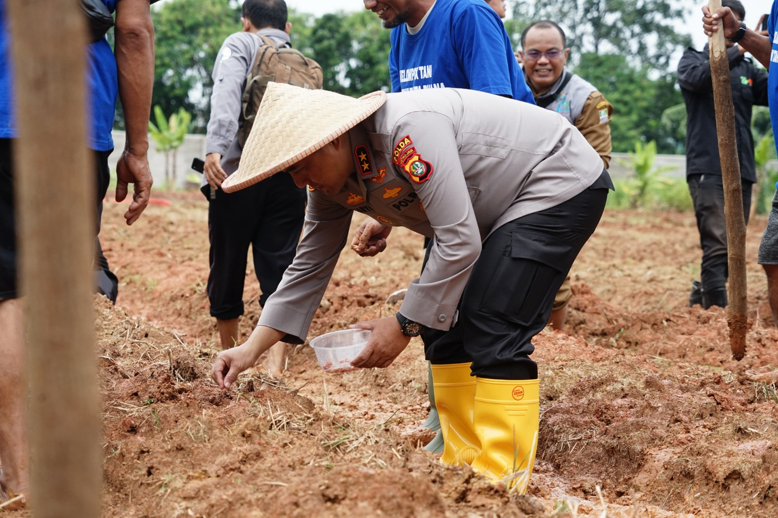 Dukung Swasembada Pangan 2025, Polda Metro Jaya Tanam Jagung Di 16,5 Hektar Lahan Bekasi