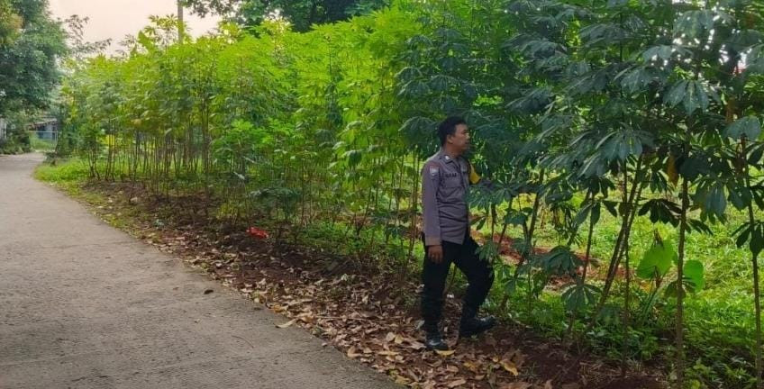 Asta Cita : Bhabinkamtibmas Kelurahan Jatimurni Laksanakan Pemantauan Lokasi Ketahanan Pangan