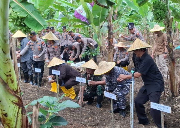 Lanal Bintan Hadiri Acara Penanaman Satu Hektar Jagung