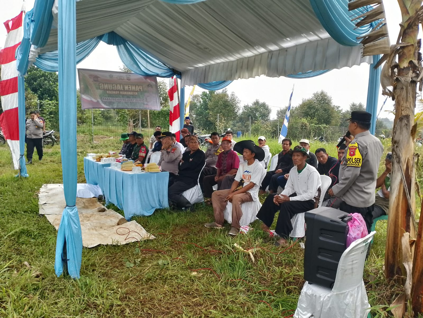 Panen Jagung di Jasinga: Wujud Sinergi Polri, TNI, dan Masyarakat Dukung Ketahanan Pangan