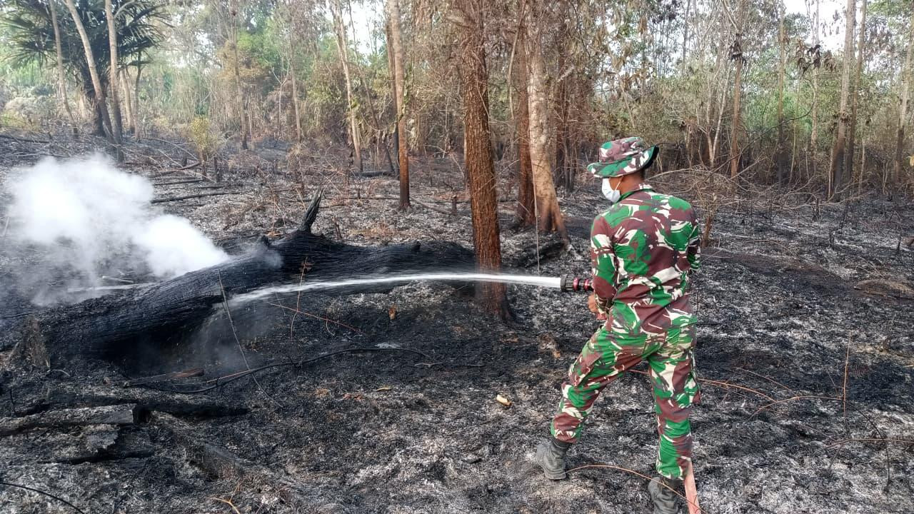 TNI Kerahkan Personel dan Heli Caracal Perkuat Penanganan Karhutla di Wilayah IKN
