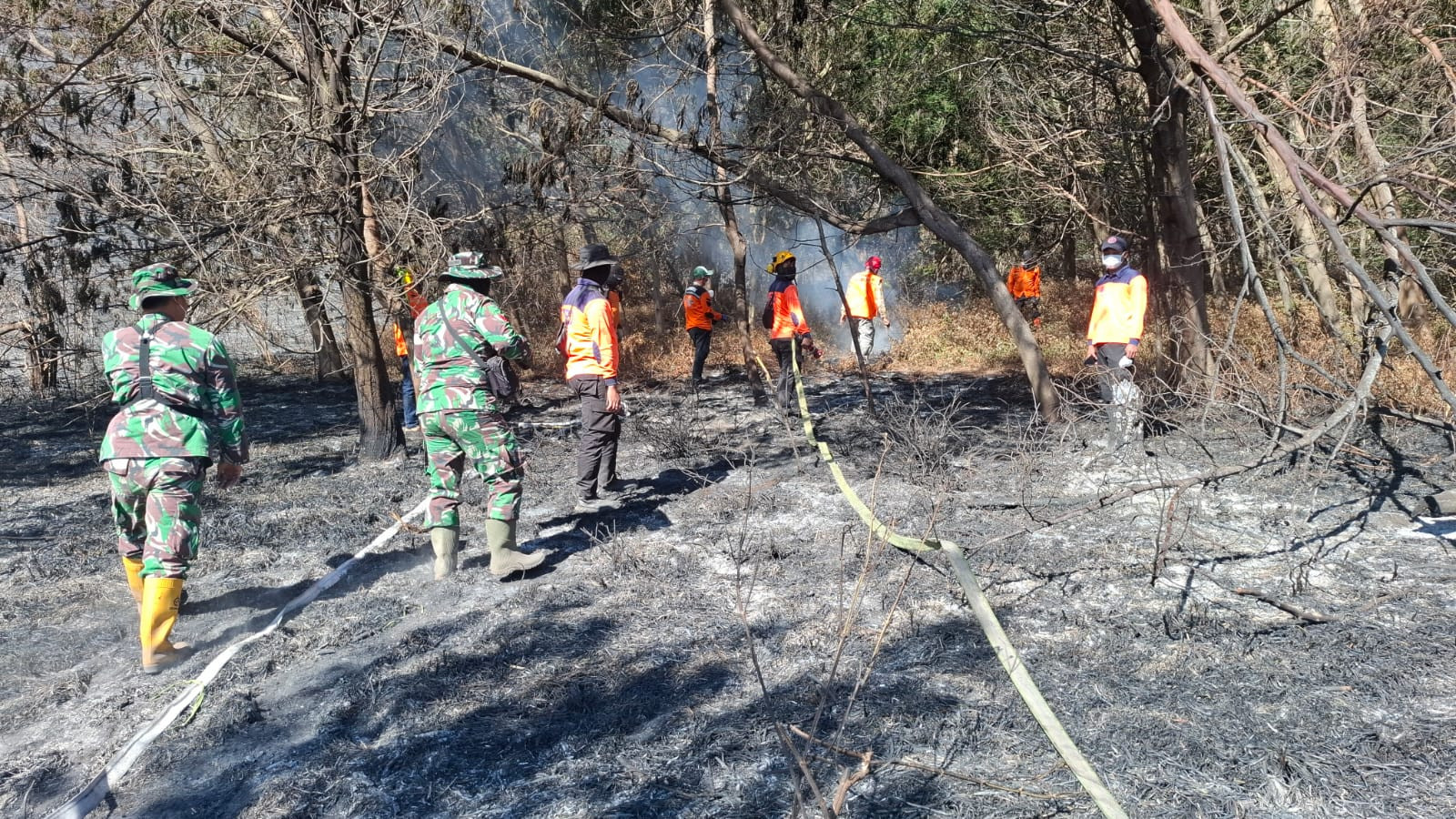 TNI Kerahkan 14.167 Personel Tangani Karhutla di Sejumlah Wilayah