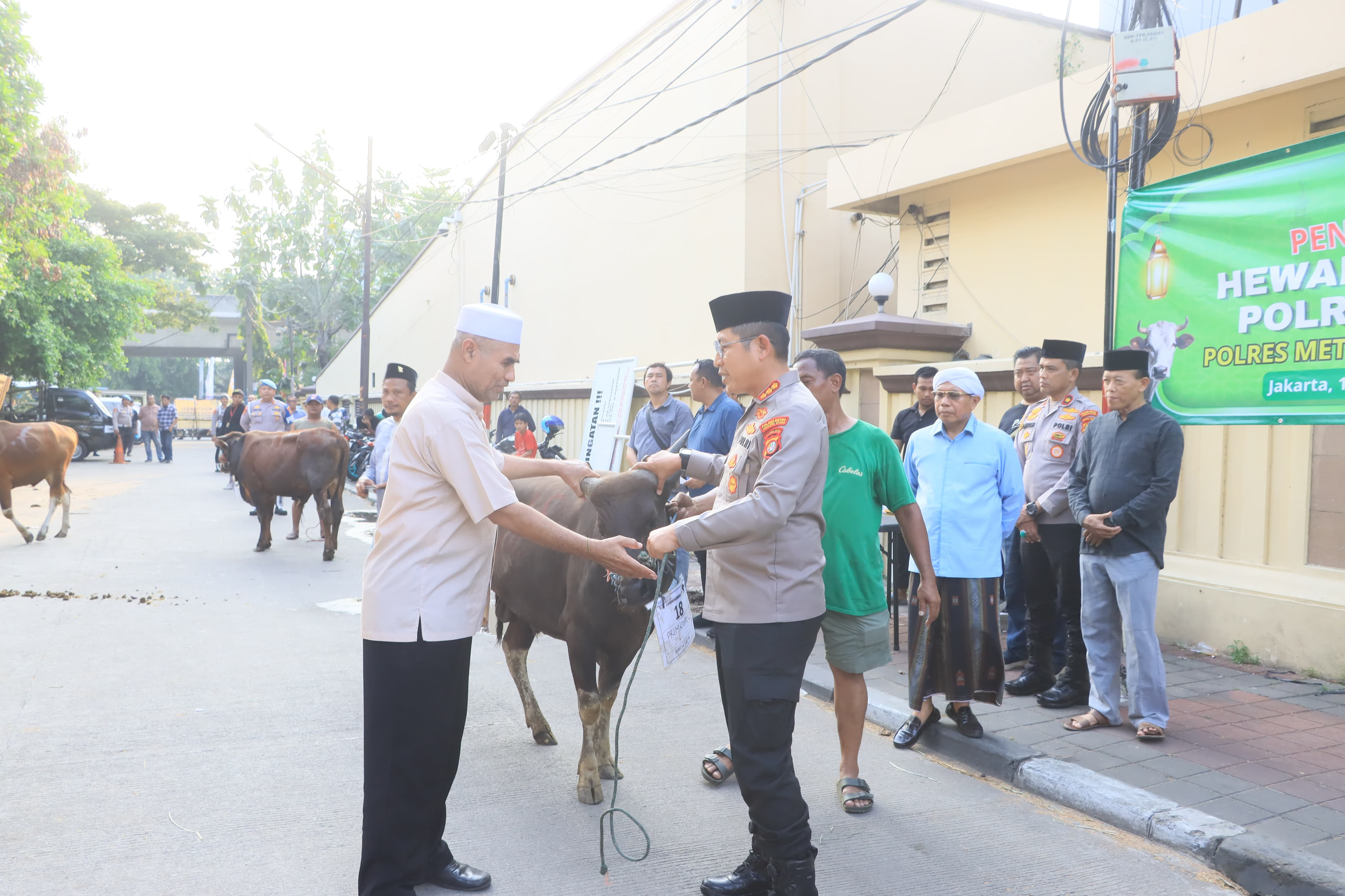 Polres Metro Jakarta Utara Serahkan Hewan Qurban ke Tokoh Agama dan Masyarakat Jelang Idul Adha 1446 H