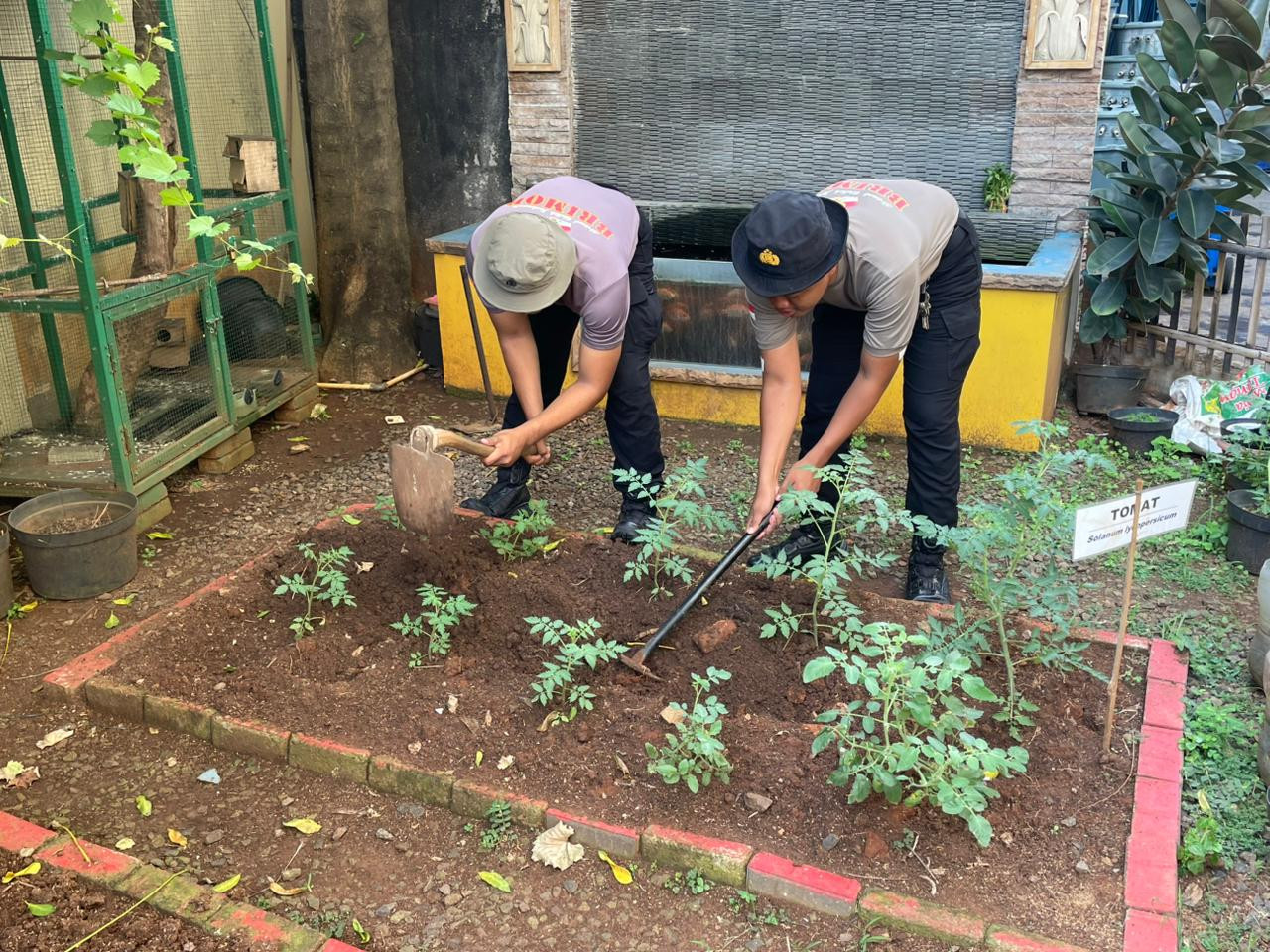 Perawatan Lahan Ketahanan Pangan Batalyon A Pelopor