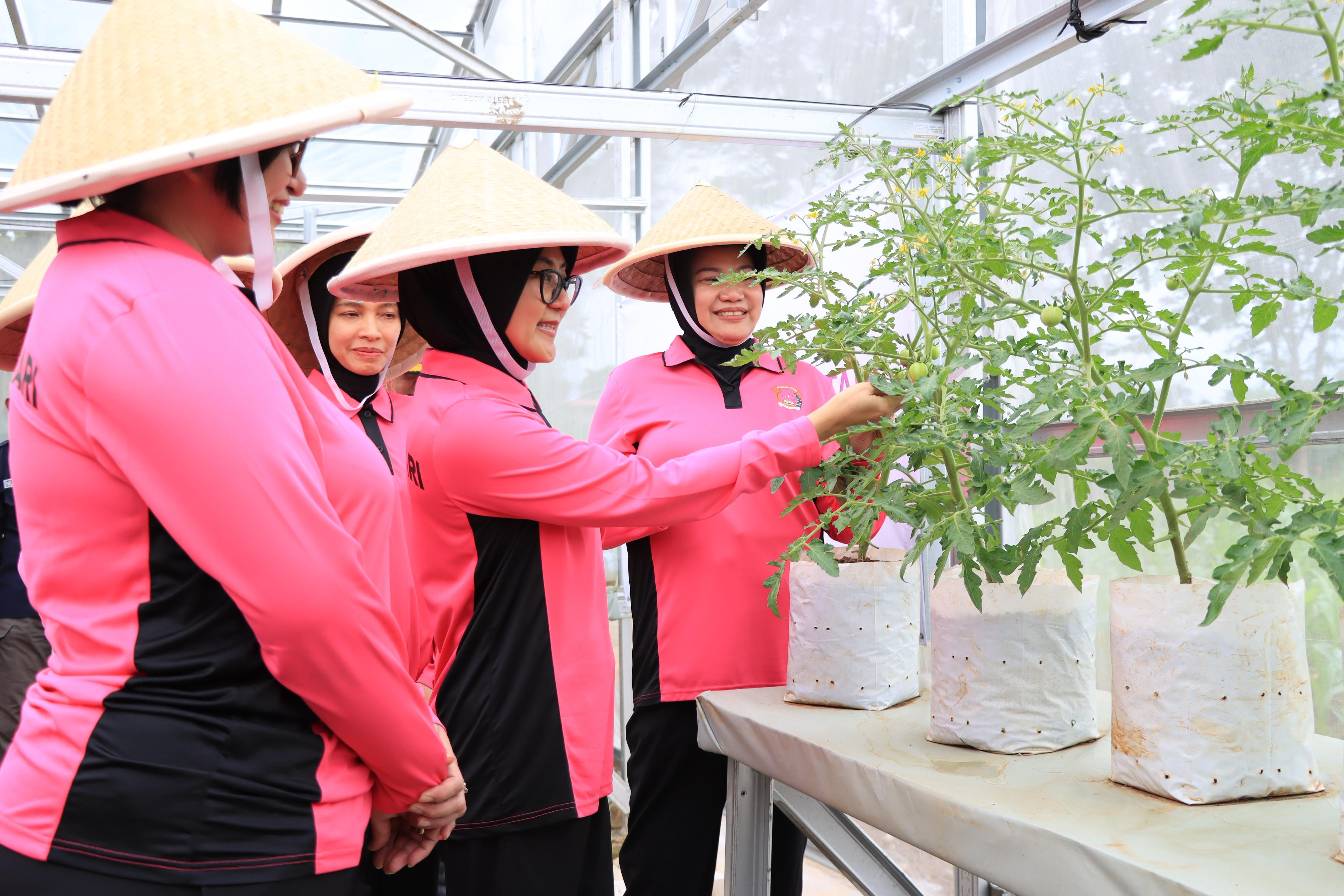 LAUNCHING PEKARANGAN PANGAN LESTARI (P2L) BHAYANGKARI METRO JAYA DIGELAR DI KELURAHAN PADURENAN BEKASI