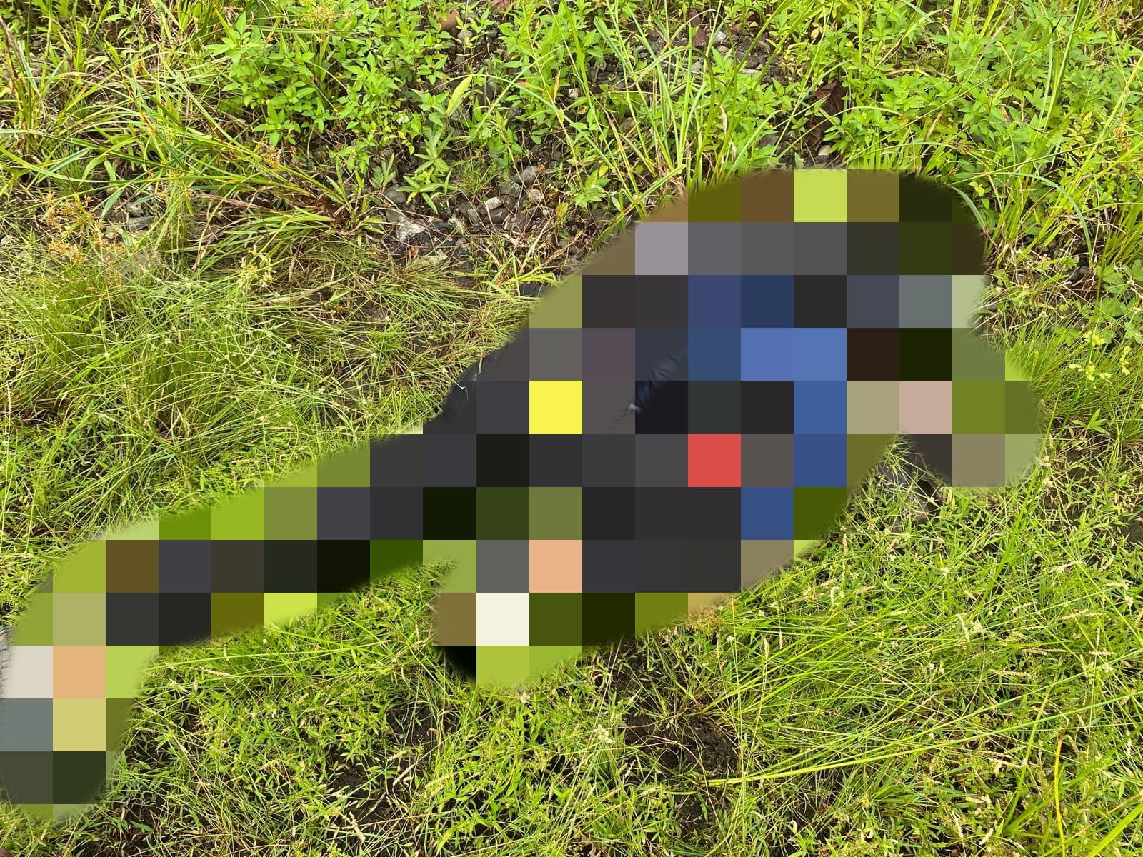 Satgas Ops Damai Cartenz Dalami Kasus Pembunuhan Warga Sipil di Dekai, Yahukimo, Diduga Dilakukan KKB