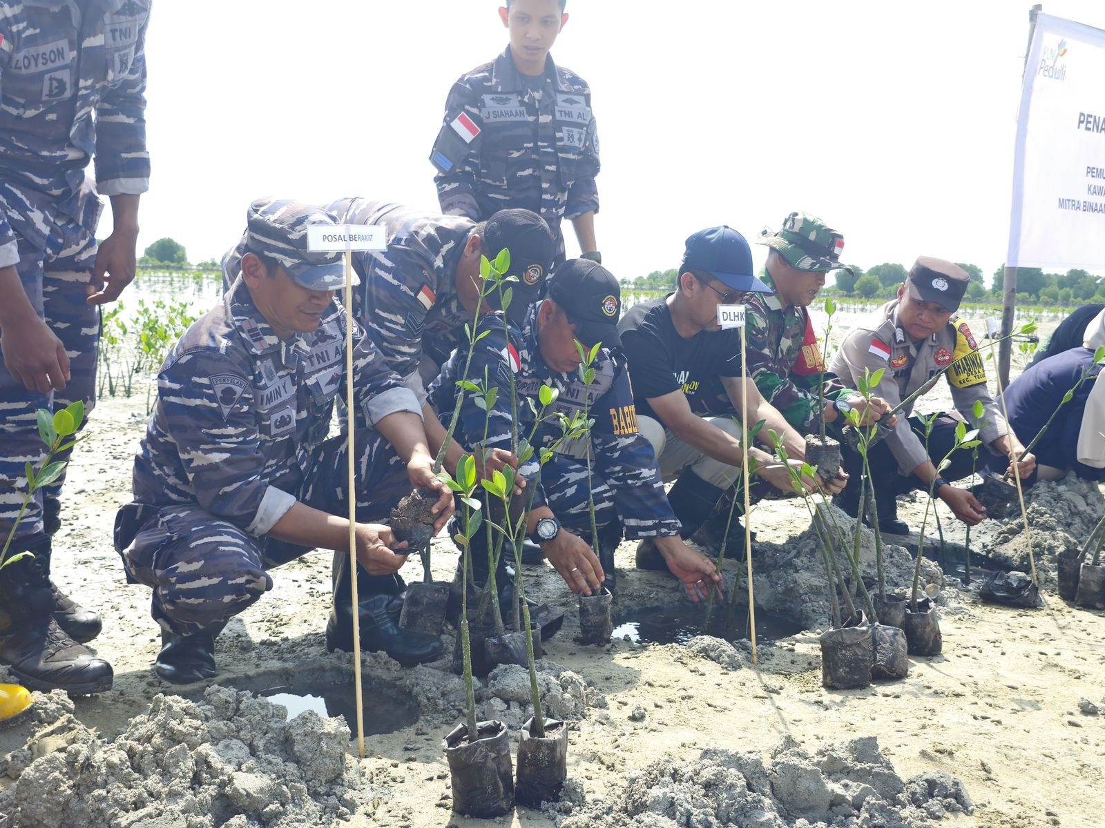 Peduli Keberlangsungan Ekosistem Laut, Lanal Bintan Turut Serta Penanaman 15.000 Bibit Mangrove