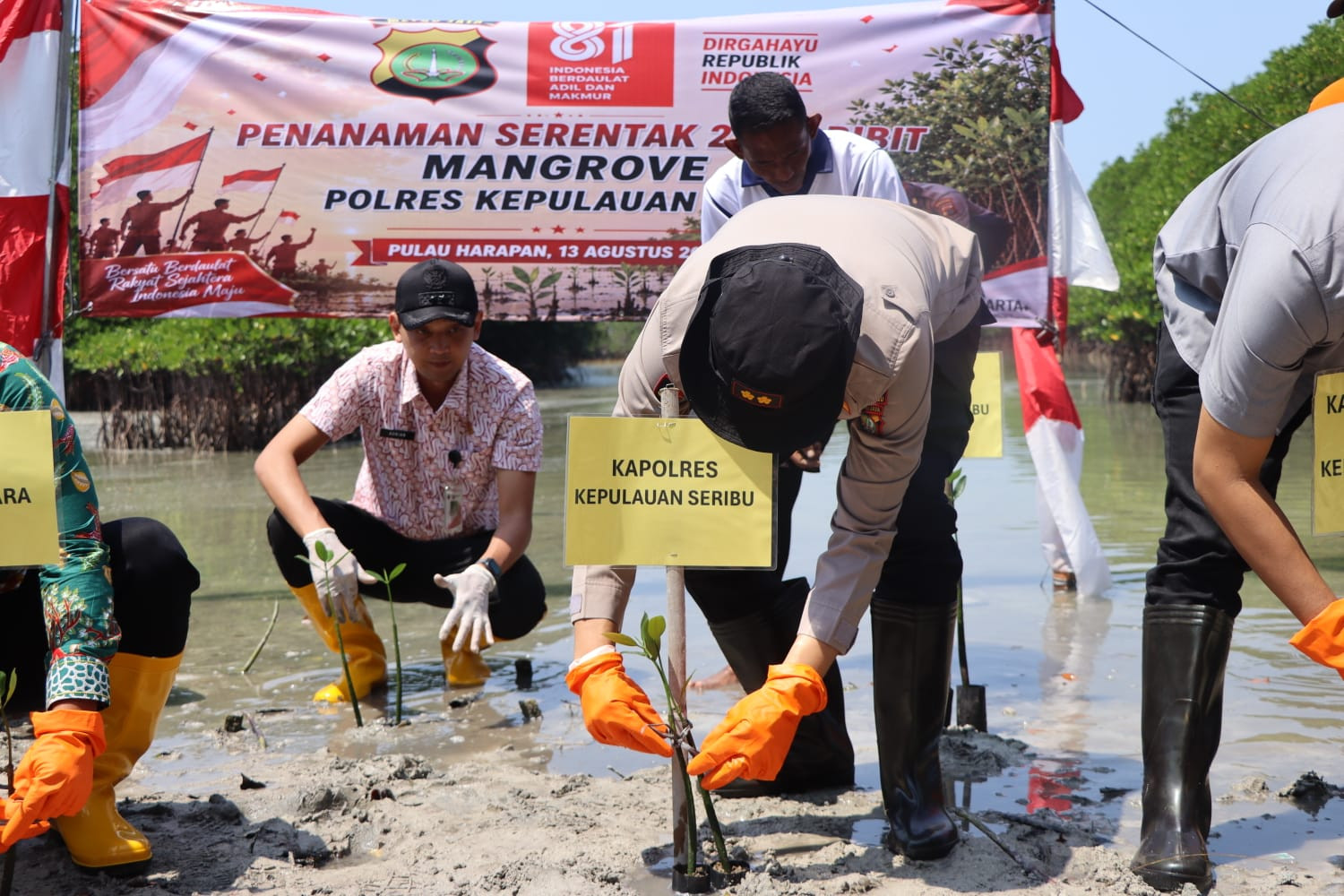 Polres Kepulauan Seribu Tanam 2.000 Mangrove dan Salurkan Bansos dalam Semangat HUT RI ke-81