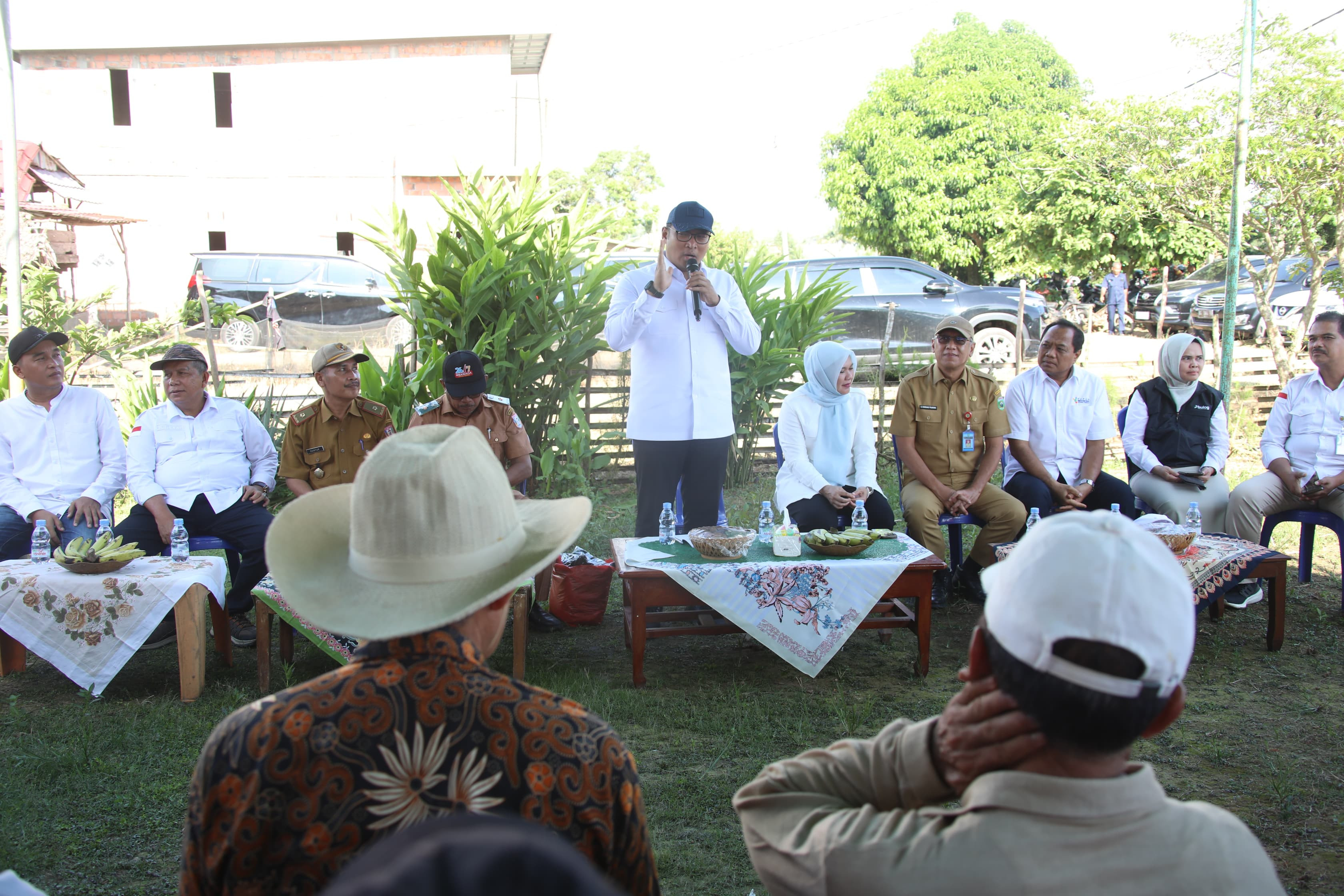 Tegaskan HPP Gabah Rp6.500 per Kilogram, Wementan Sudaryono: Jangan Sampai Dibeli Murah