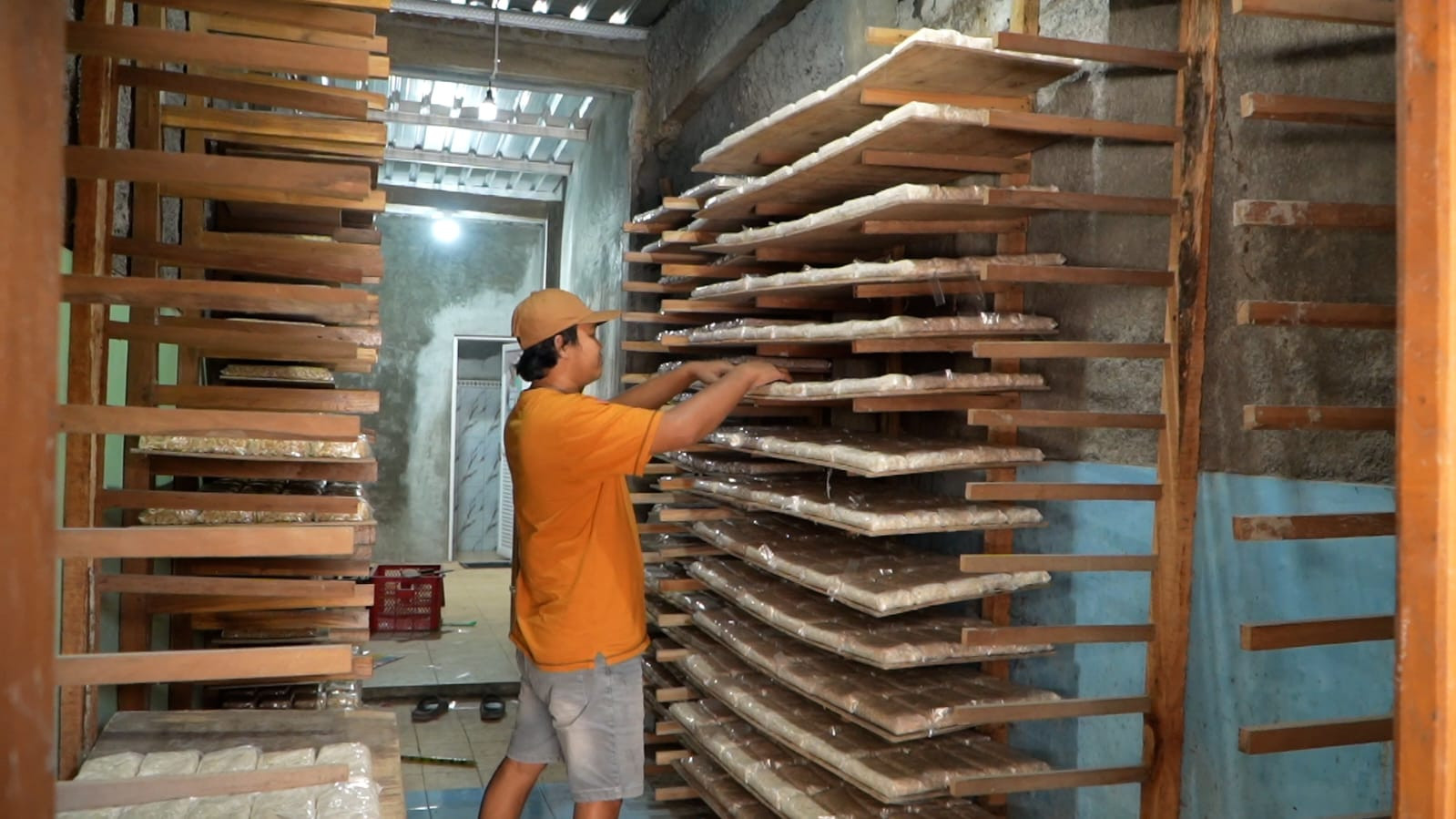 Rezeki Pengusaha Tempe dari Dapur MBG: Produksi Naik 100%, Kini Bisa Beli Mesin dan Rekrut Tetangga