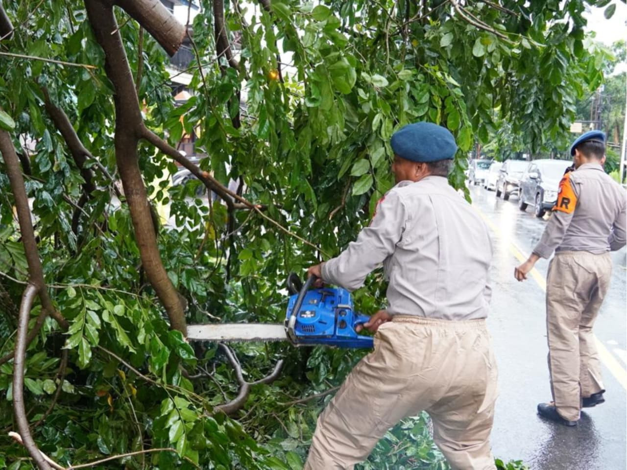 Sigap Brimob Metro Jaya Tangani Pohon Tumbang di Ciputat