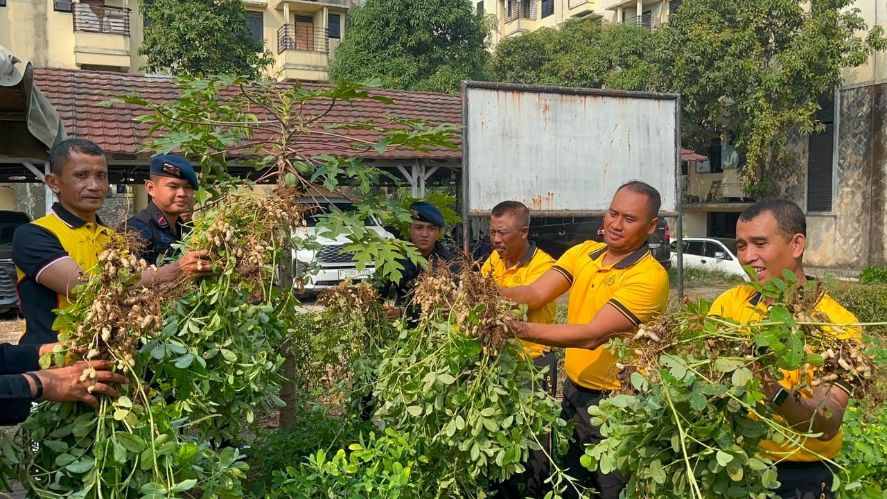 Brimob Polda Metro Jaya Panen Hasil Program Ketahanan Pangan