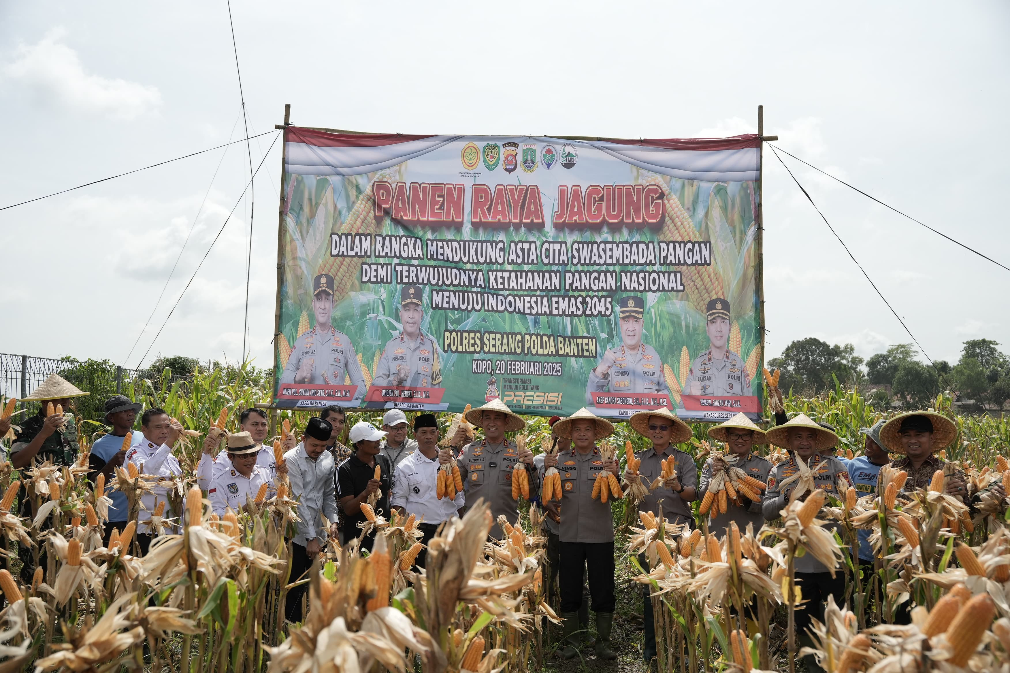 Panen Raya Jagung Hibrida, Kapolda Banten: Bentuk Nyata Upaya Bersama untuk Ketahanan Pangan