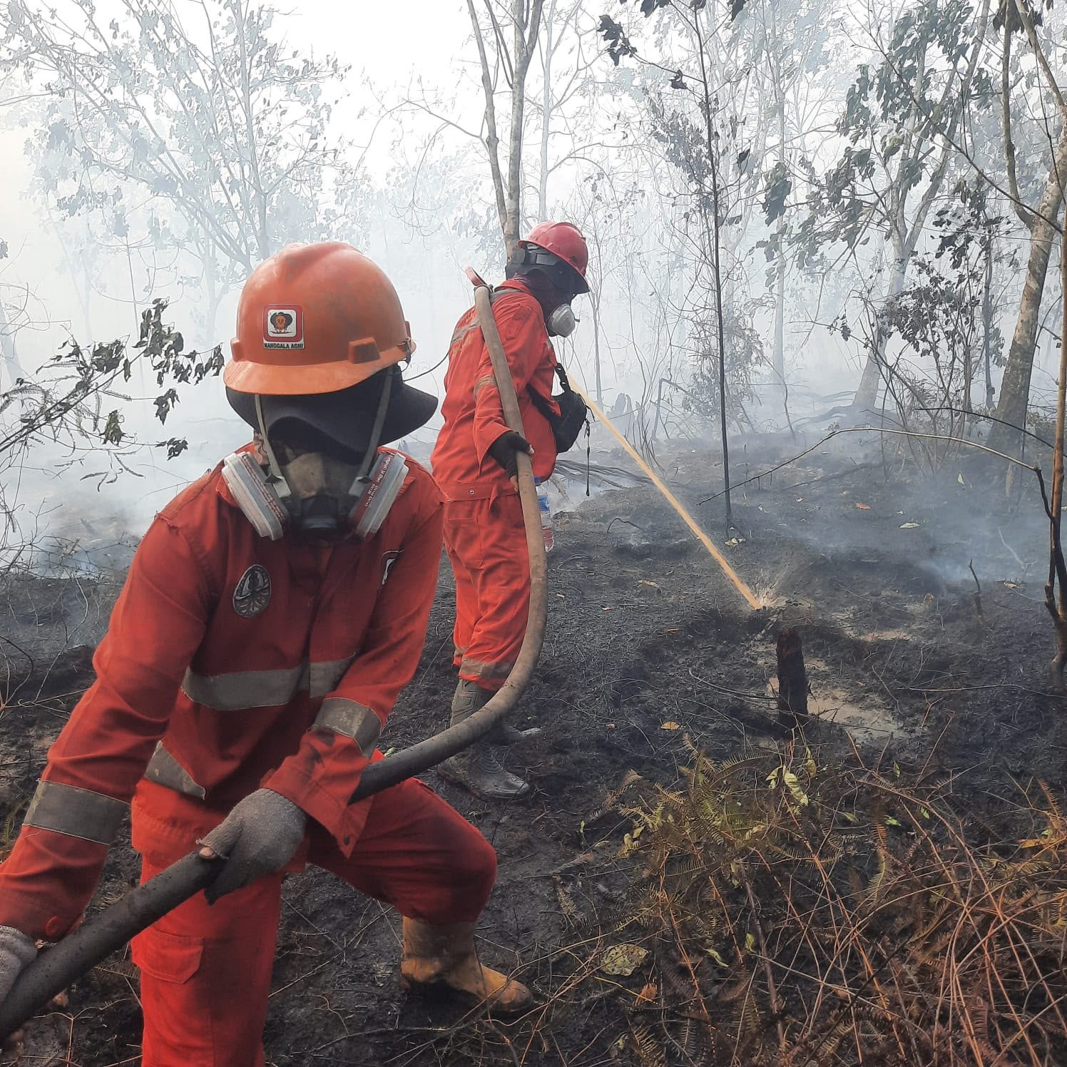 Atasi Karhutla Kalimantan, Modifikasi Cuaca Terus Dioptimalkan