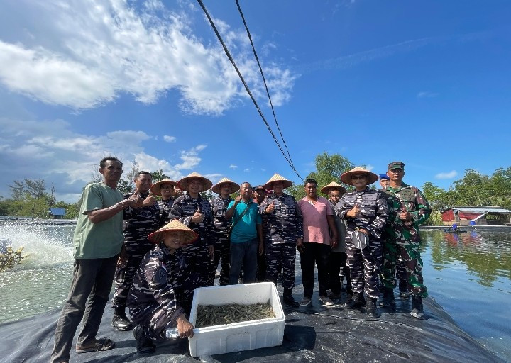 Wujud Dukung Program Ketahanan Pangan Nasional, Lanal Dabo Singkep Panen Udang Vaname